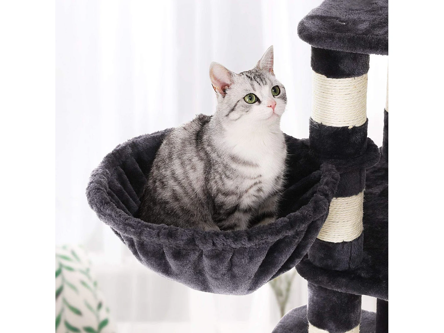 Kratzbaum Gaimersheim