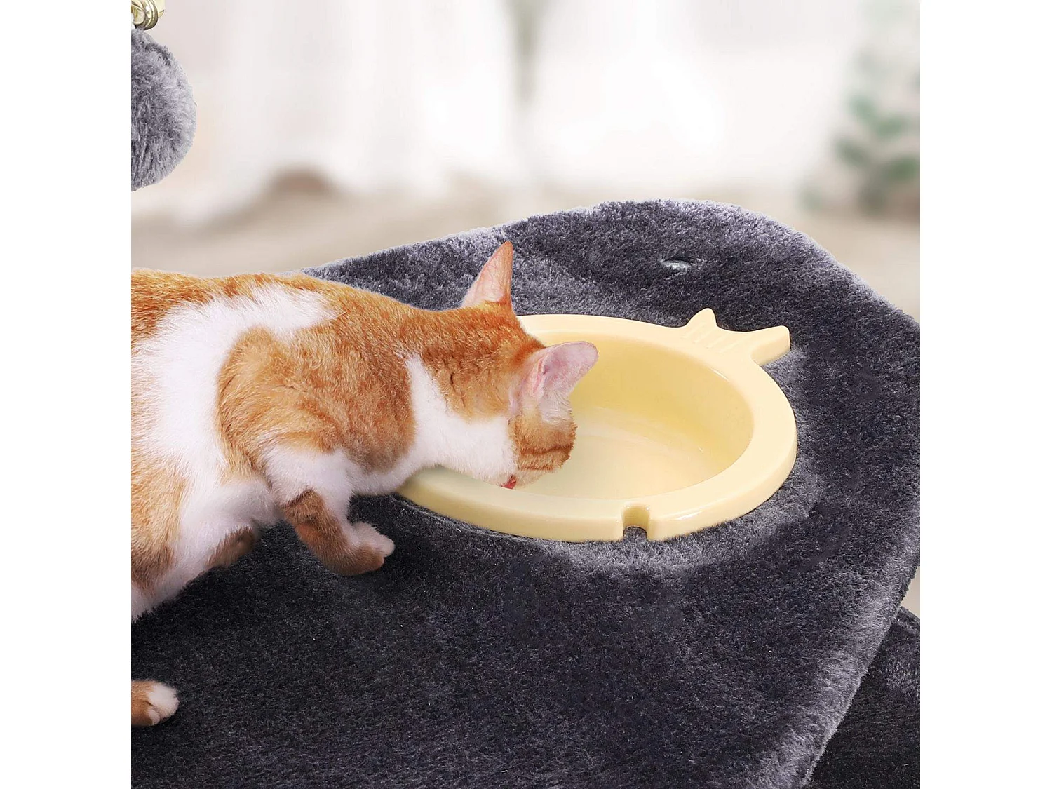 Kratzbaum Gaimersheim