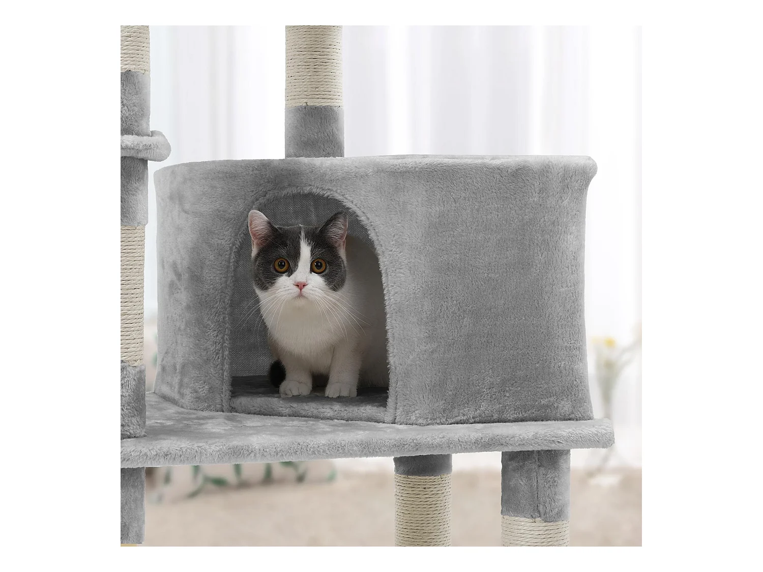 Kratzbaum Katzenbaum PawPalace