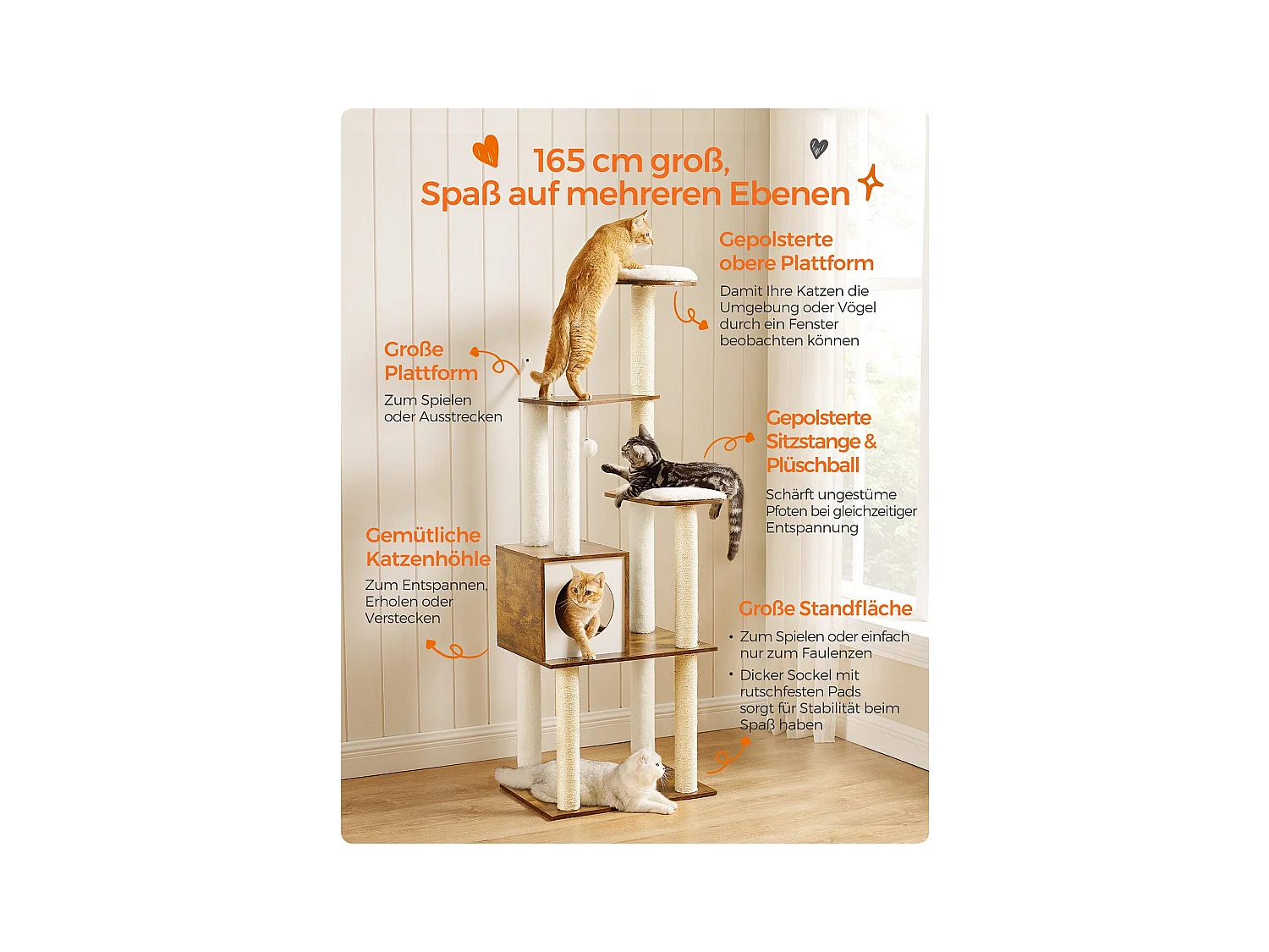 Katzenbaum Antanandava