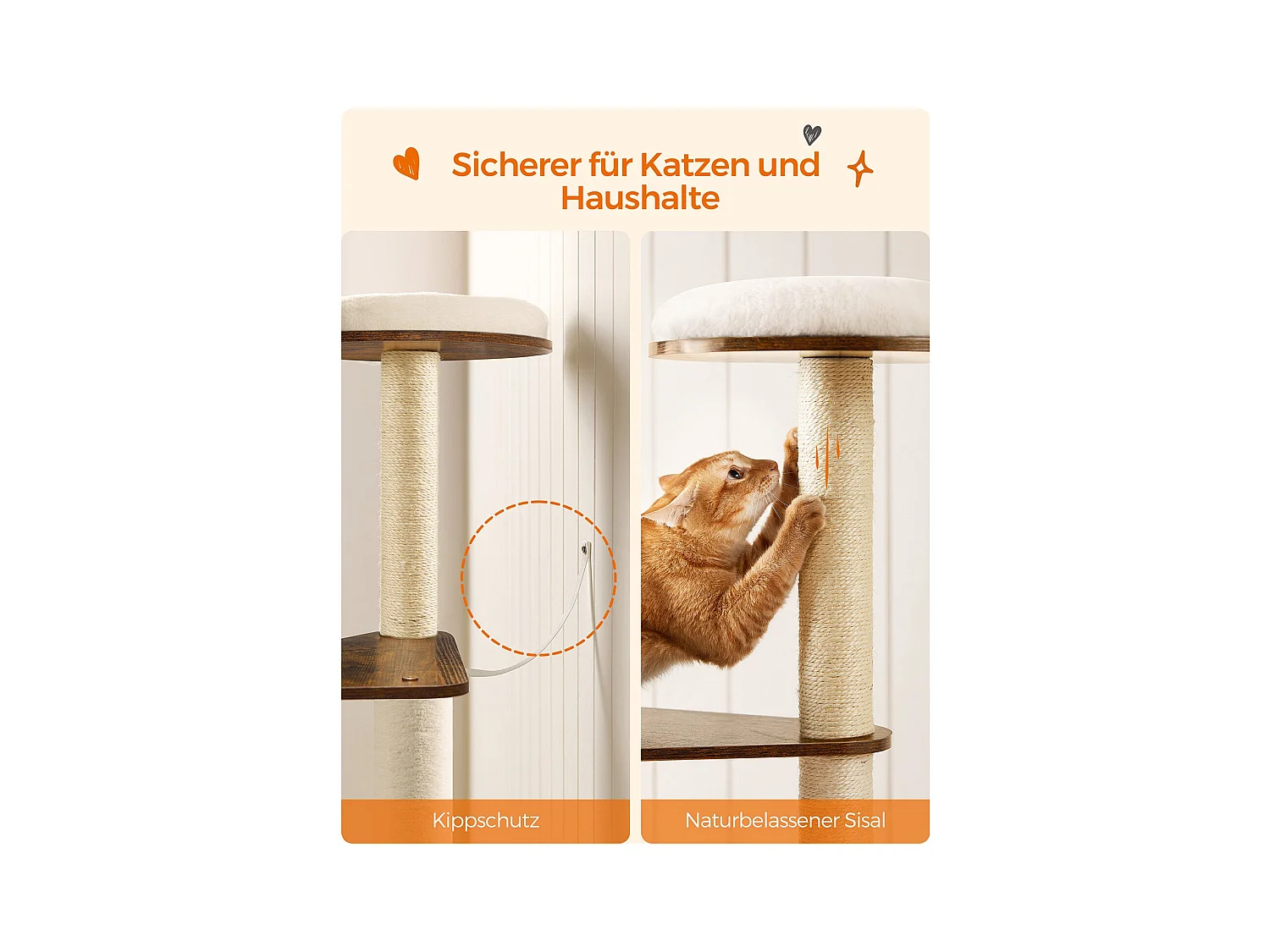 Katzenbaum Antanandava