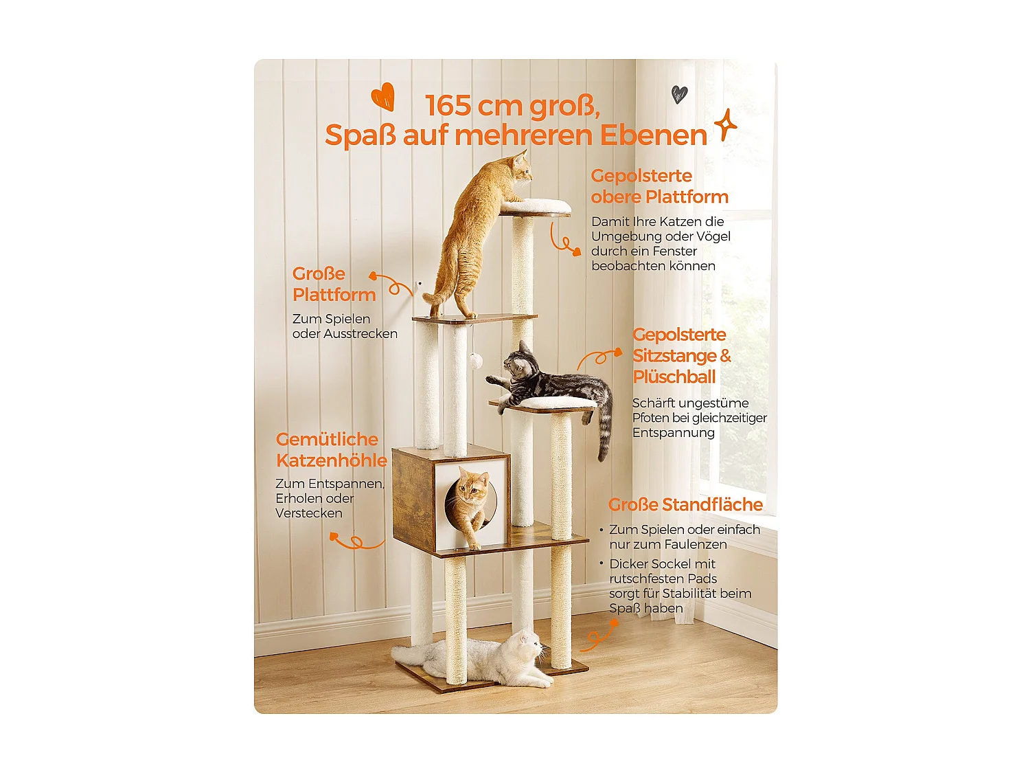 Katzenbaum Antanandava