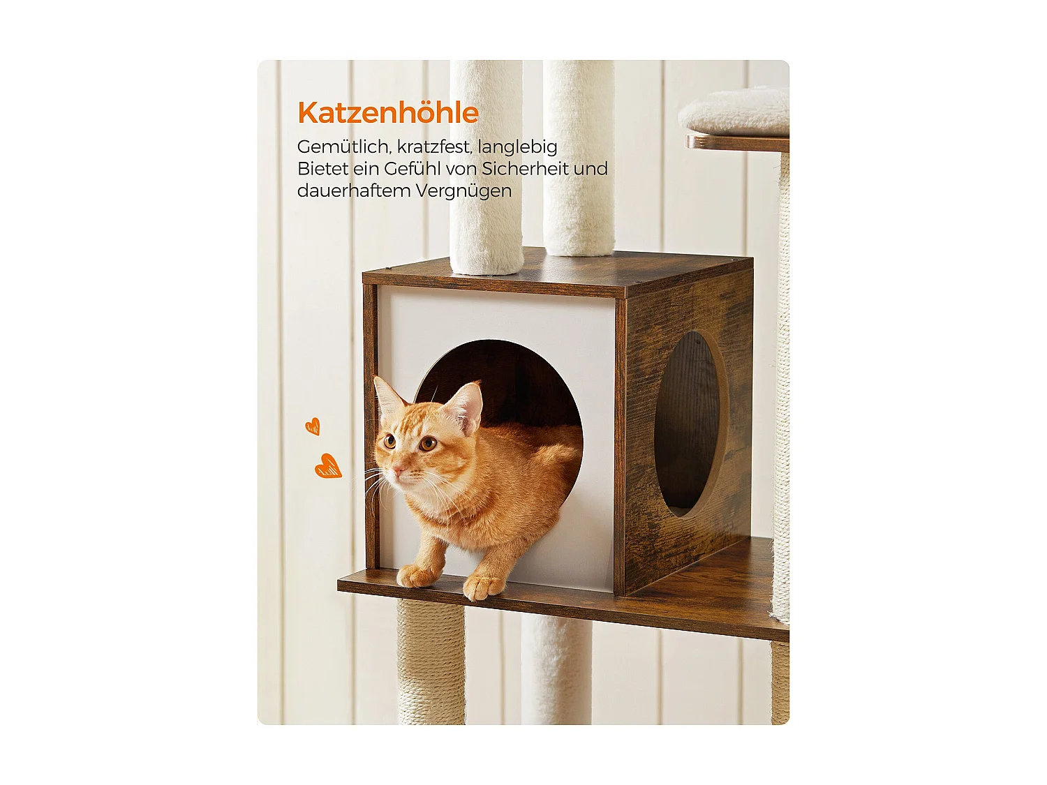 Katzenbaum Antanandava