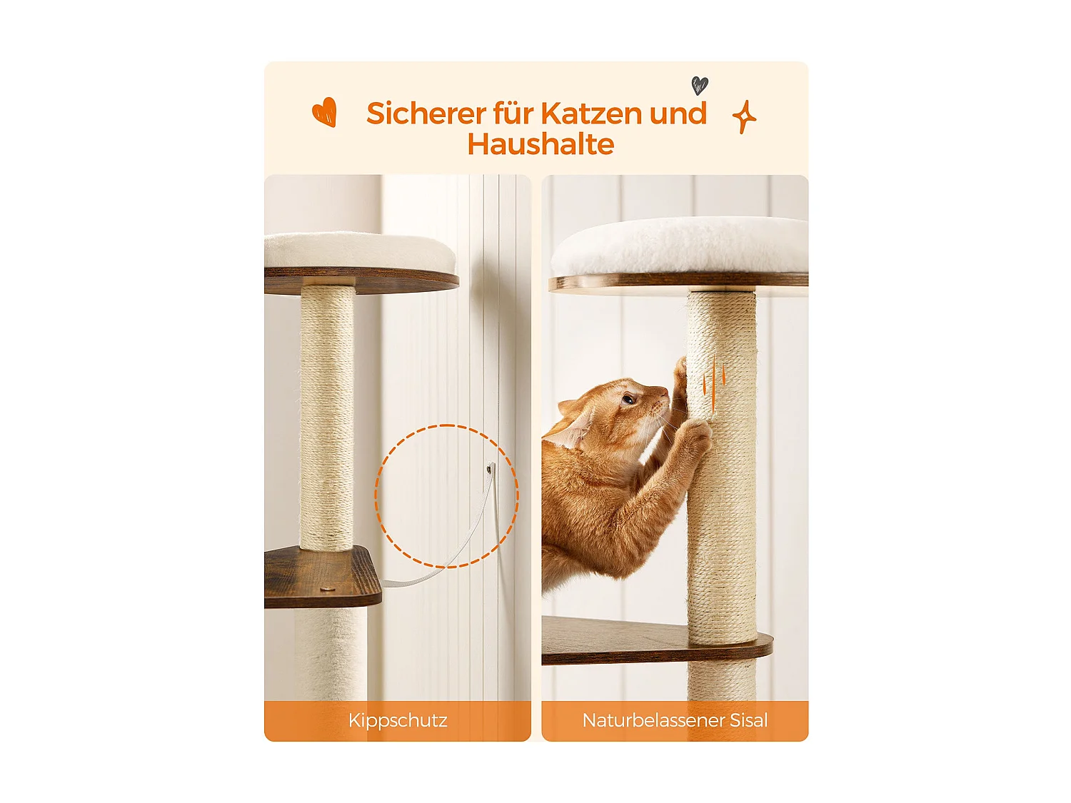 Katzenbaum Antanandava