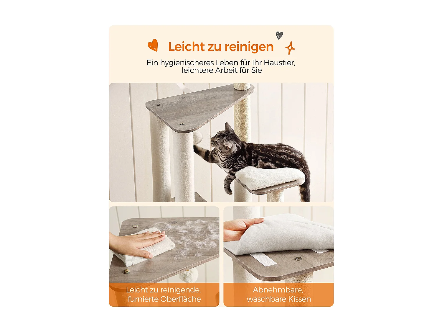 Arbre à chat Antanandava