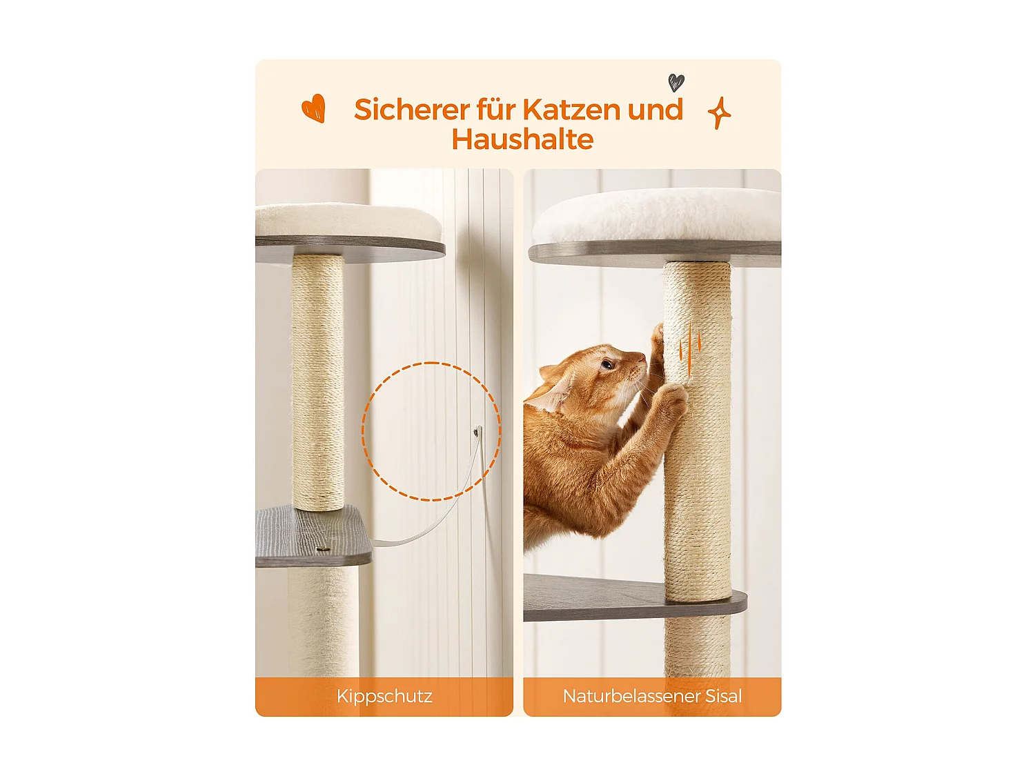 Arbre à chat Antanandava