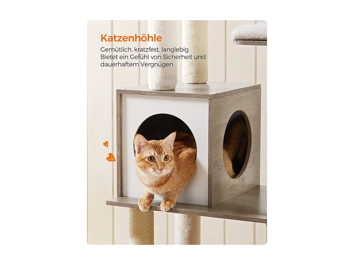 Katzenbaum Antanandava