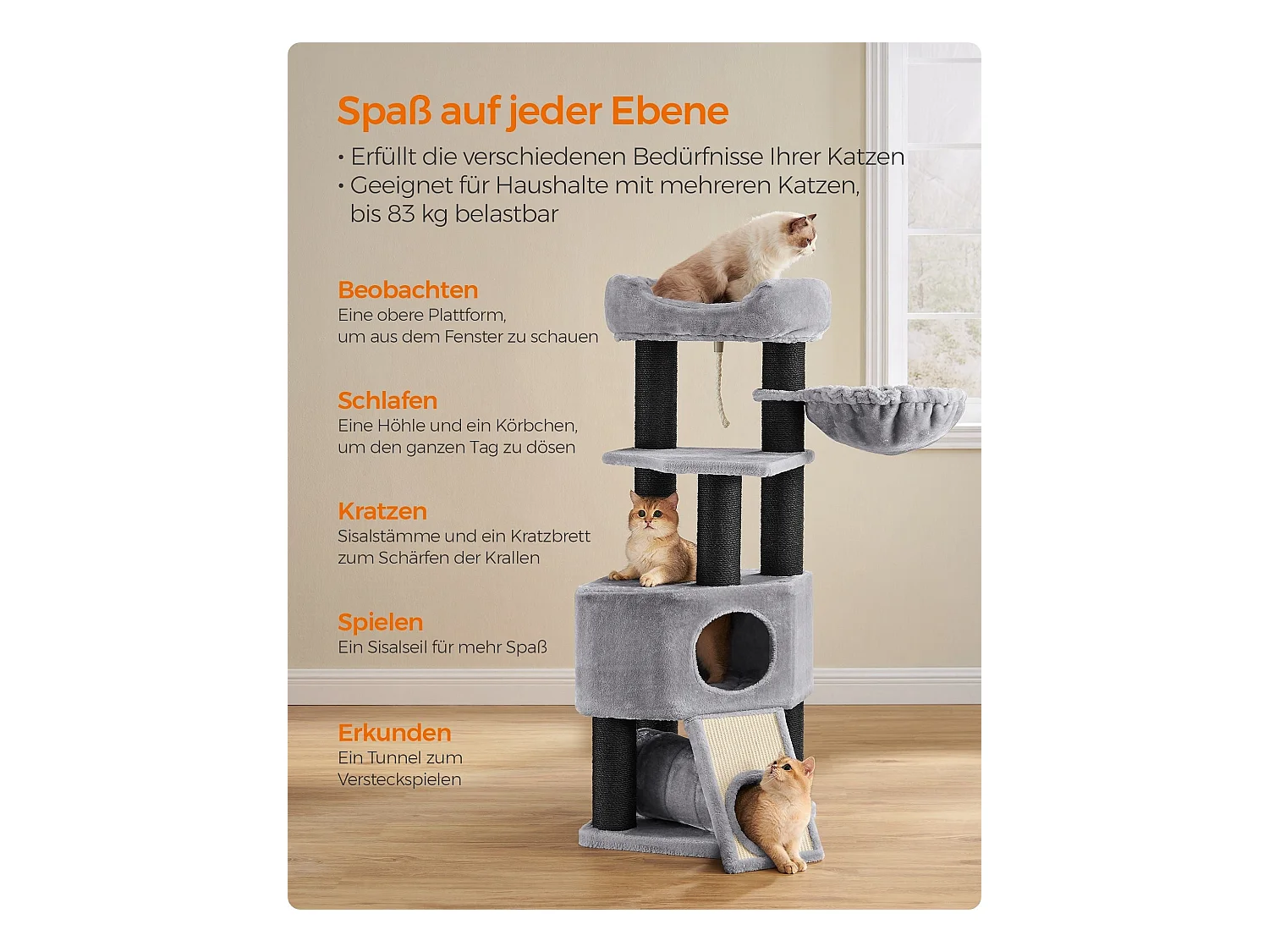 Katzenbaum Alexandreia