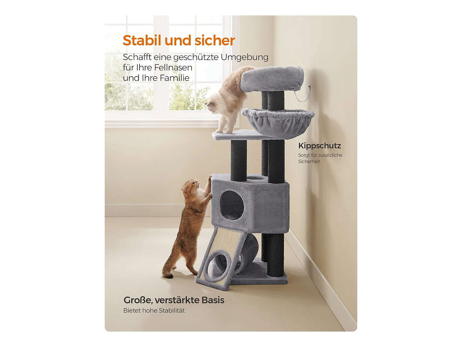 Katzenbaum Alexandreia