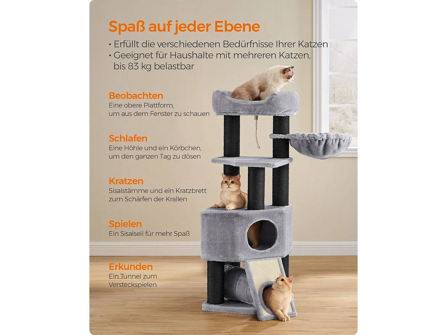 Katzenbaum Alexandreia