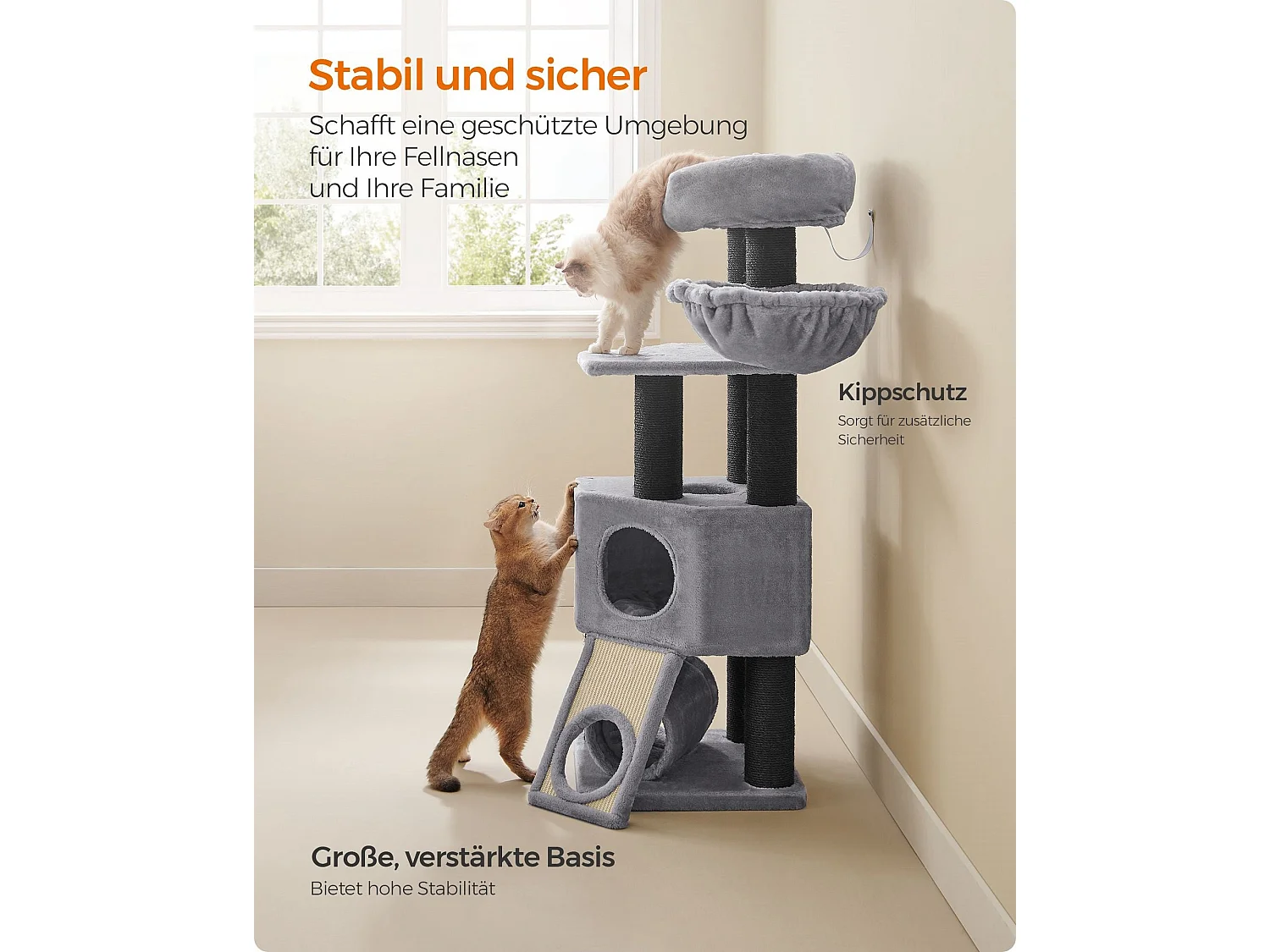 Katzenbaum Alexandreia