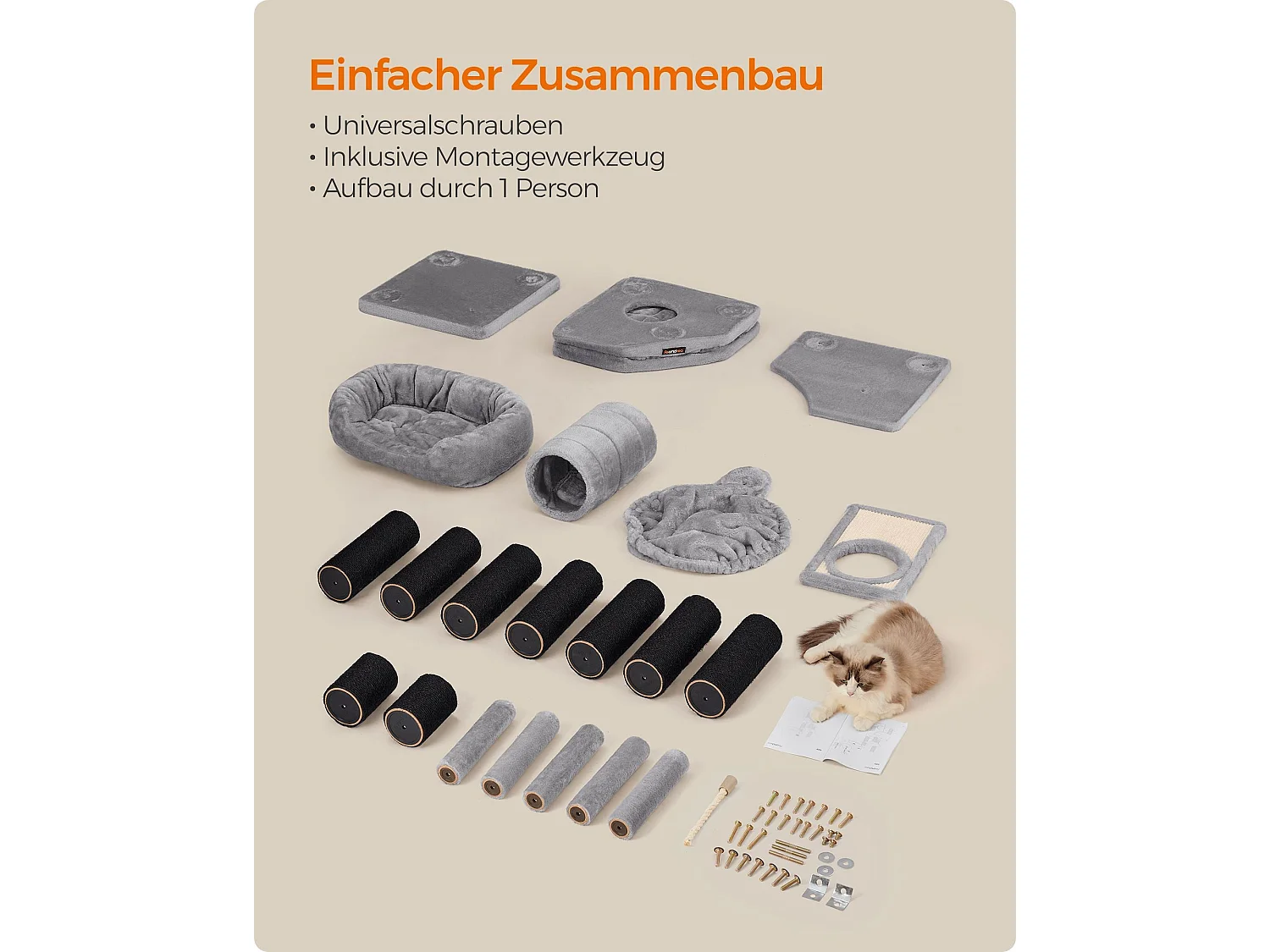 Katzenbaum Alexandreia