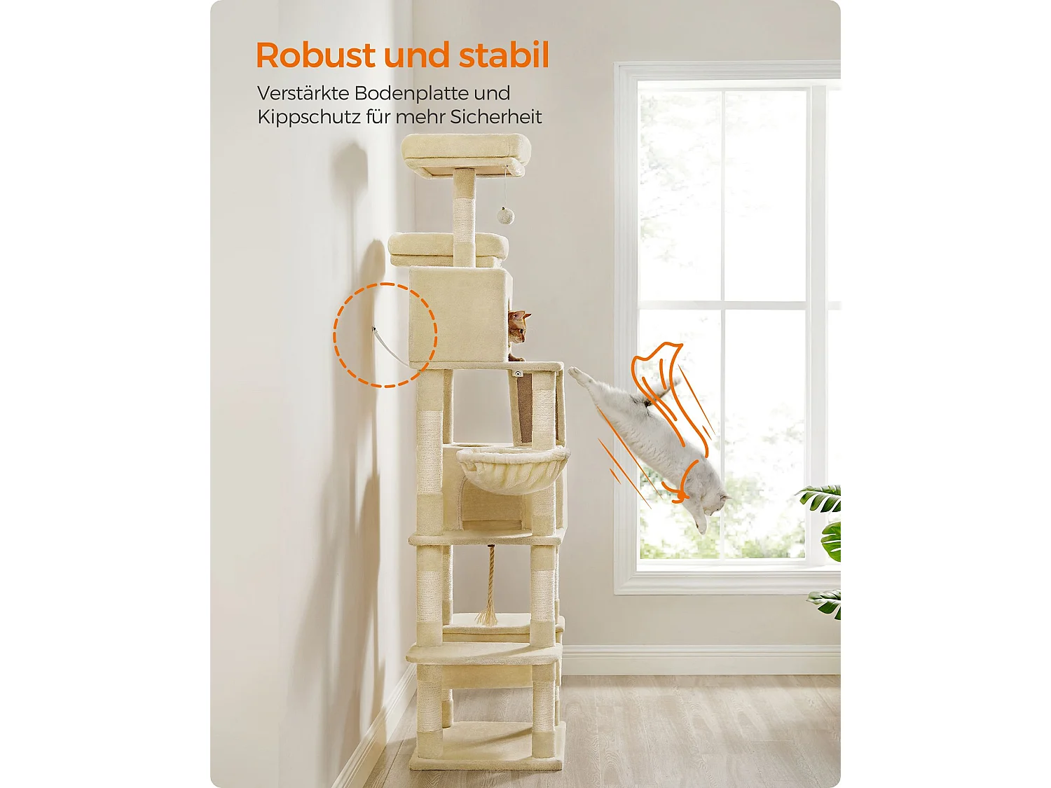 Tiragraffi Mandritsara