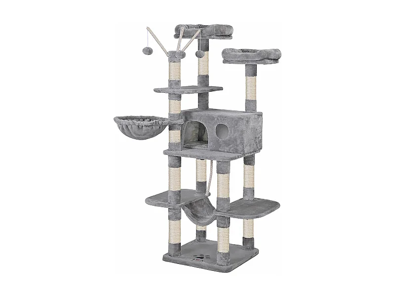 Katzenbaum Neunkirchen