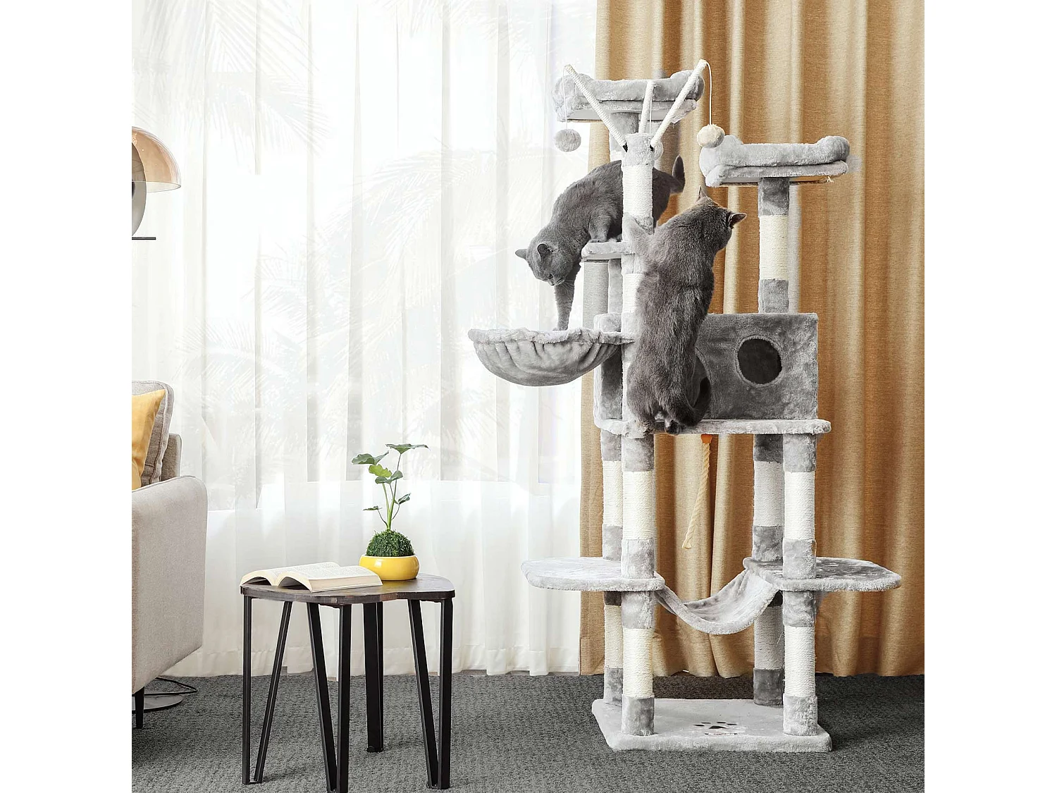 Katzenbaum Neunkirchen