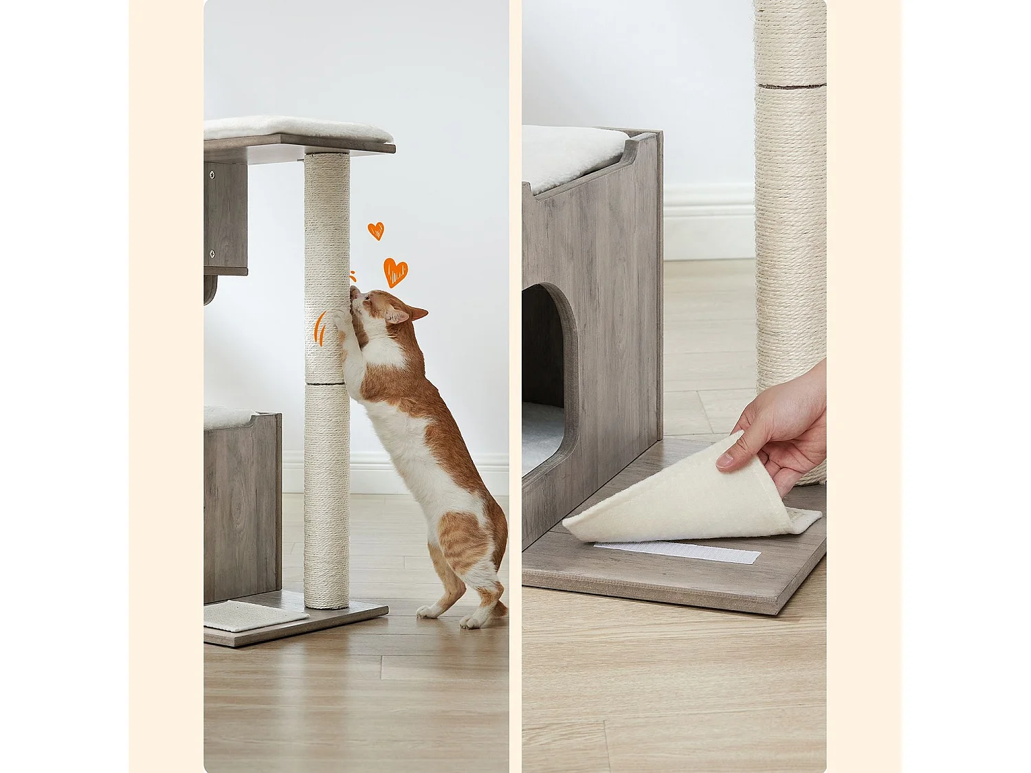 Arbre à chat d'Iferhounene