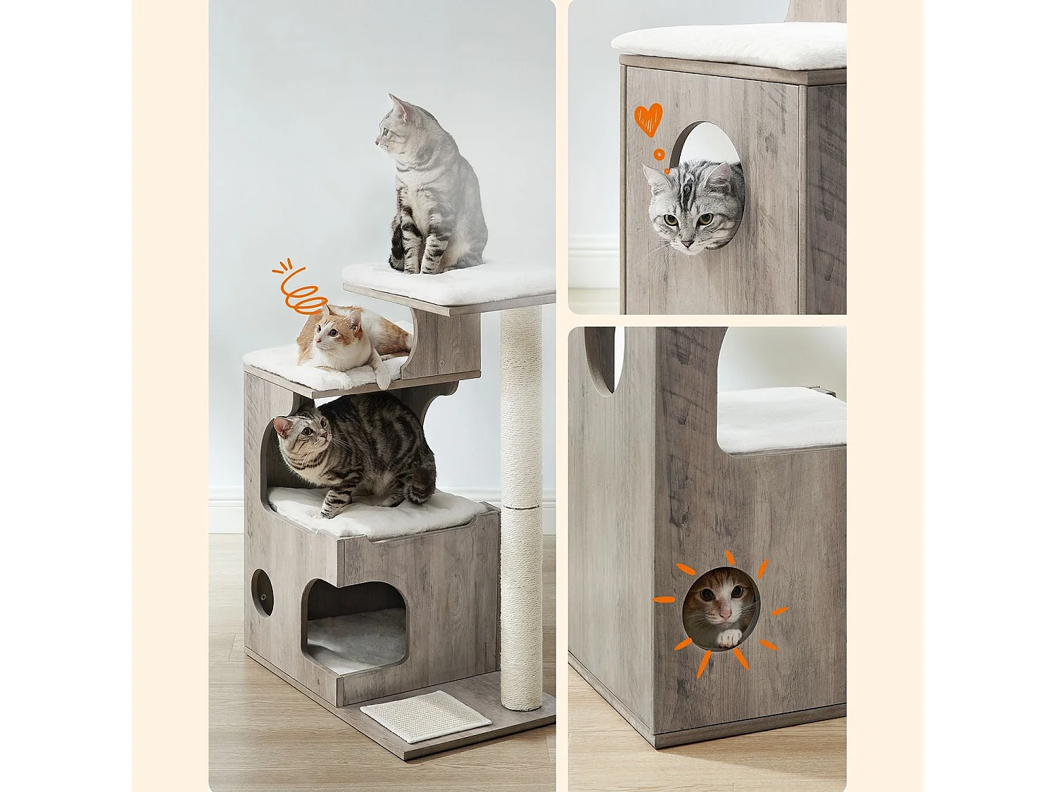 Arbre à chat d'Iferhounene