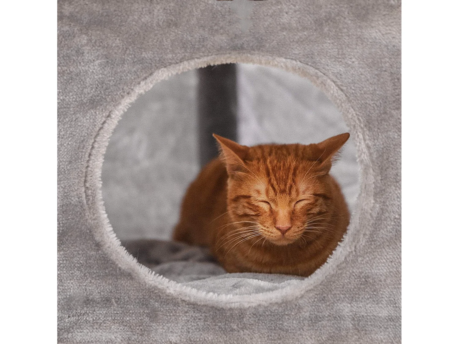 Kratzbaum Katzenbaum JungleJoy