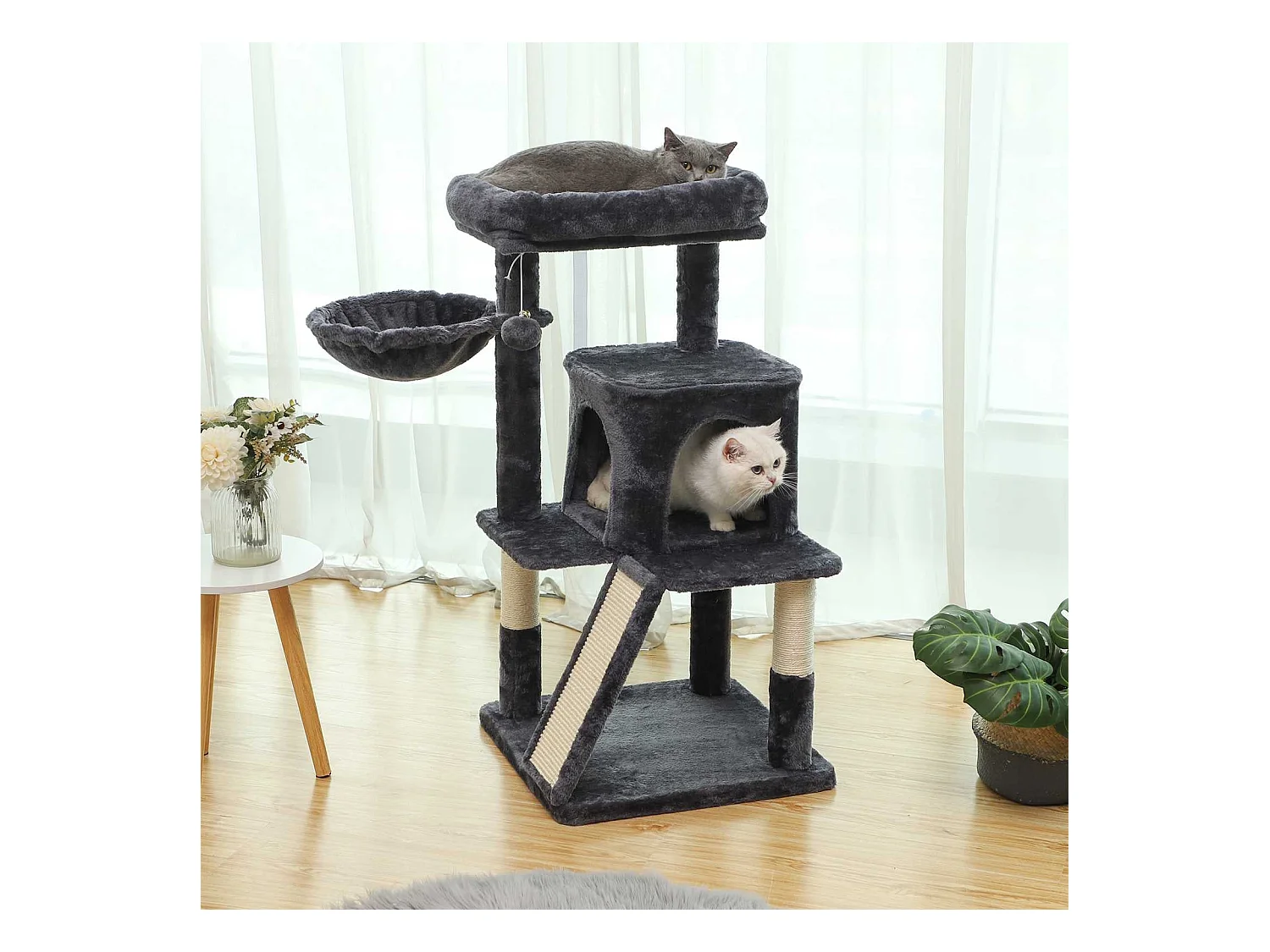 Katzenbaum Spilamberto