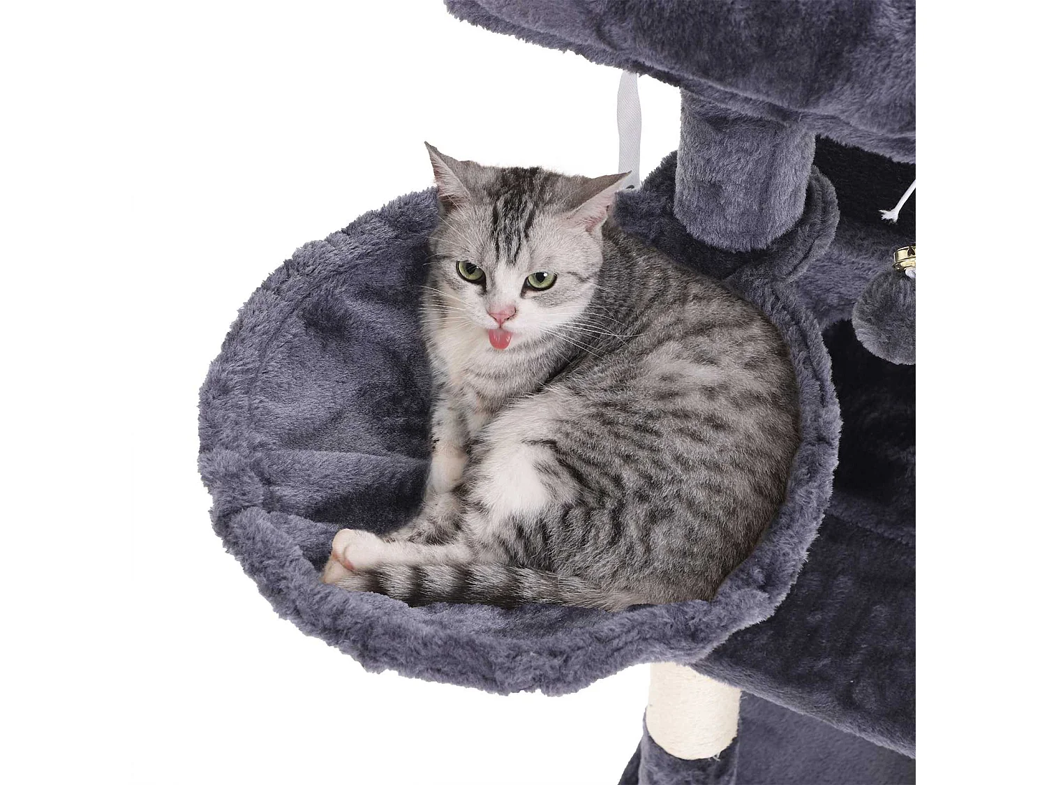 Arbre à chat Spilamberto