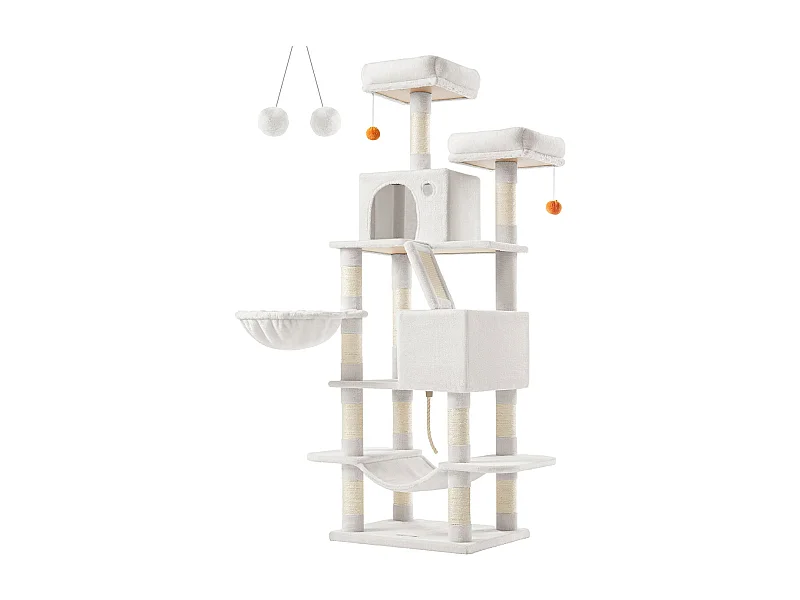 Katzenbaum Baduriatola