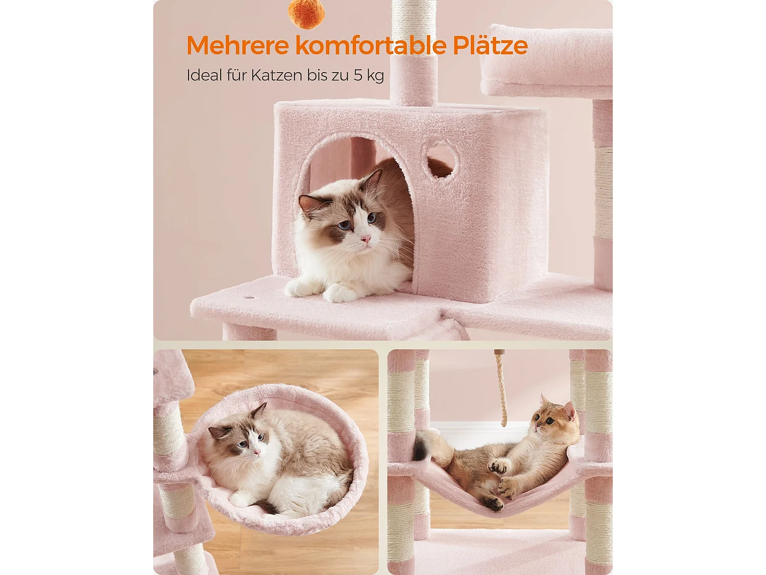 Arbre à chat Baduriatola