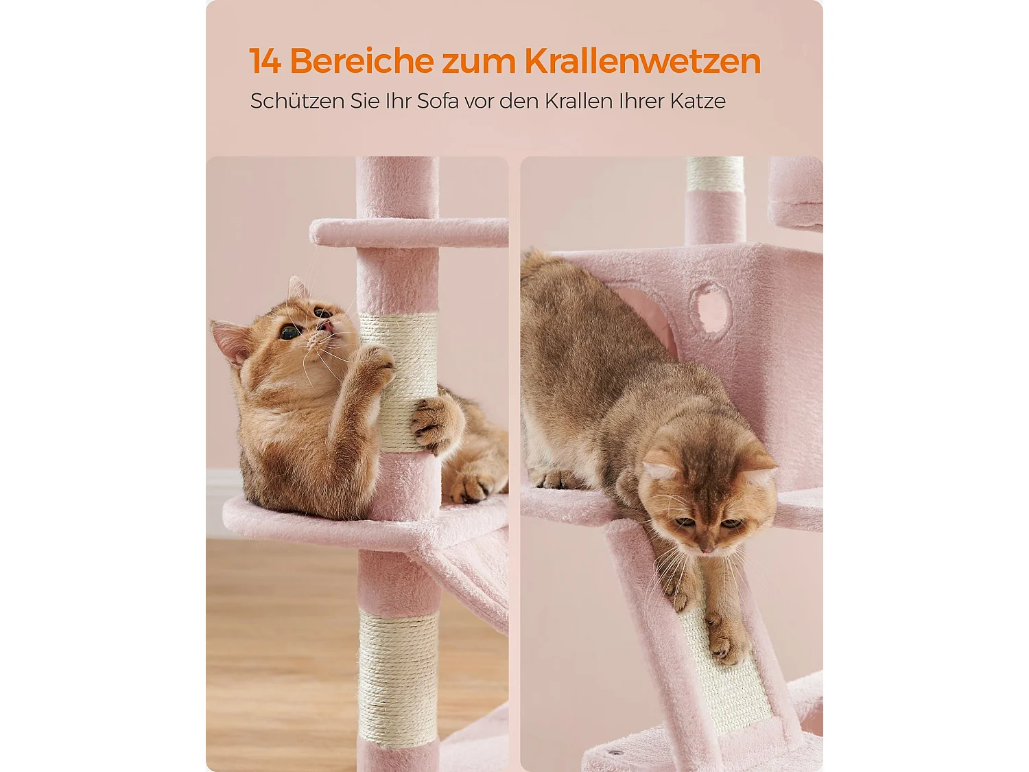 Arbre à chat Baduriatola