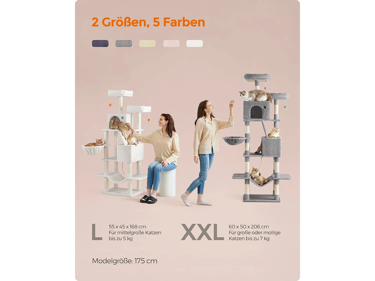 Arbre à chat Baduriatola