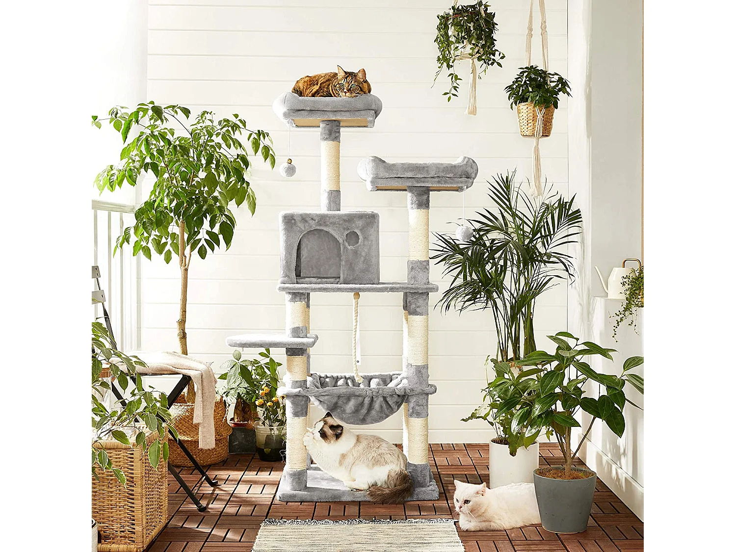 Arbre à chat Neunkirchen