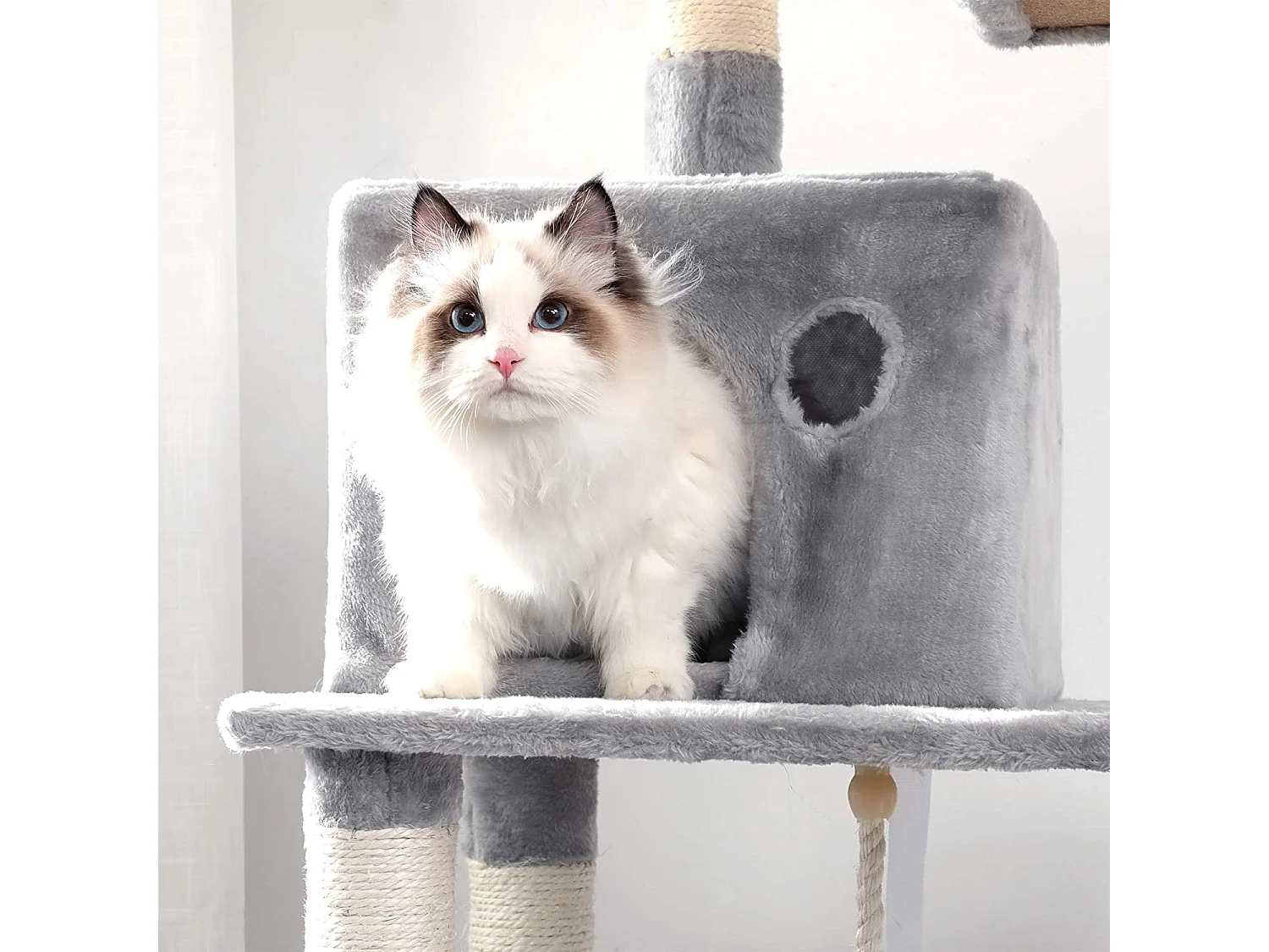 Arbre à chat Neunkirchen