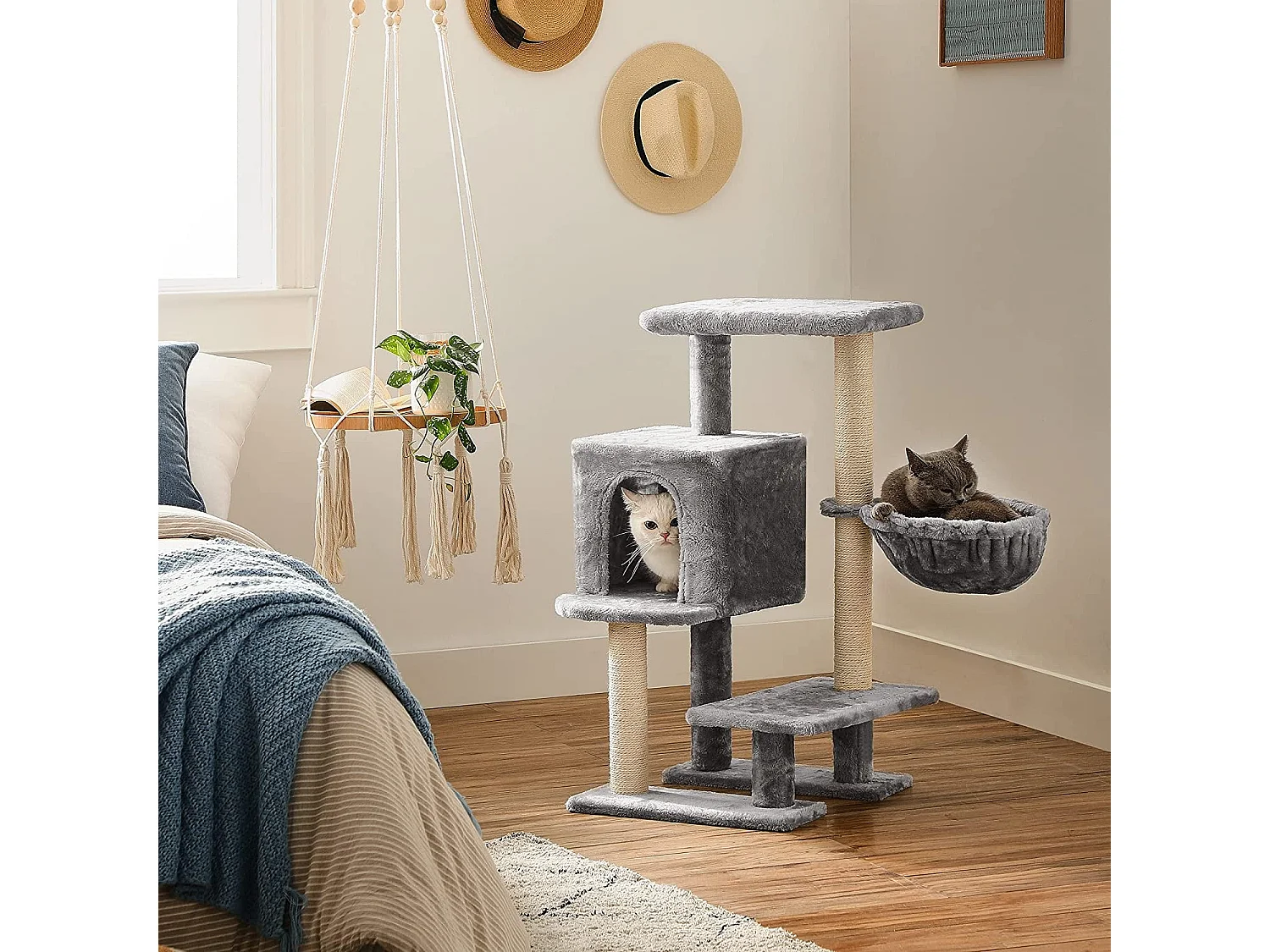 Katzenbaum Porto-Novo