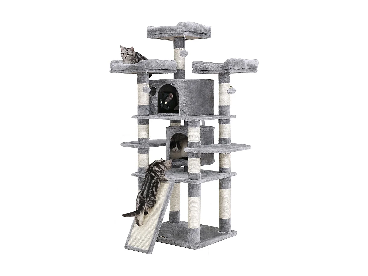 Kratzbaum Grammichele