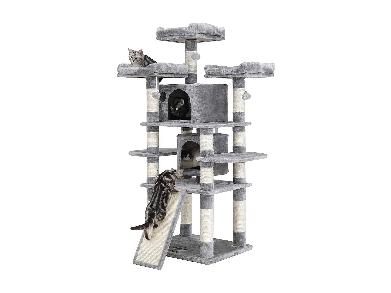 Kratzbaum Grammichele