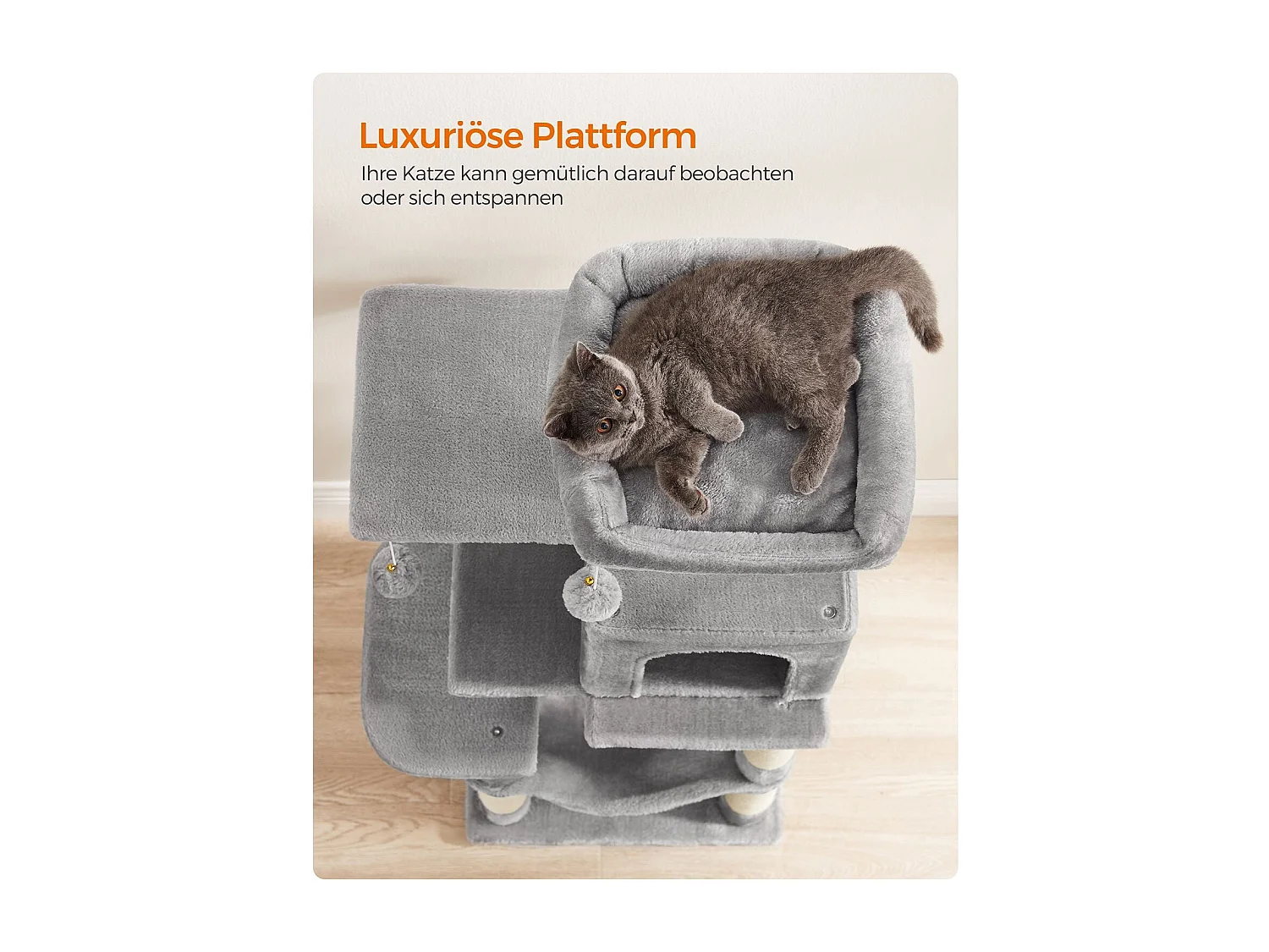 Katzenbaum Neunkirchen