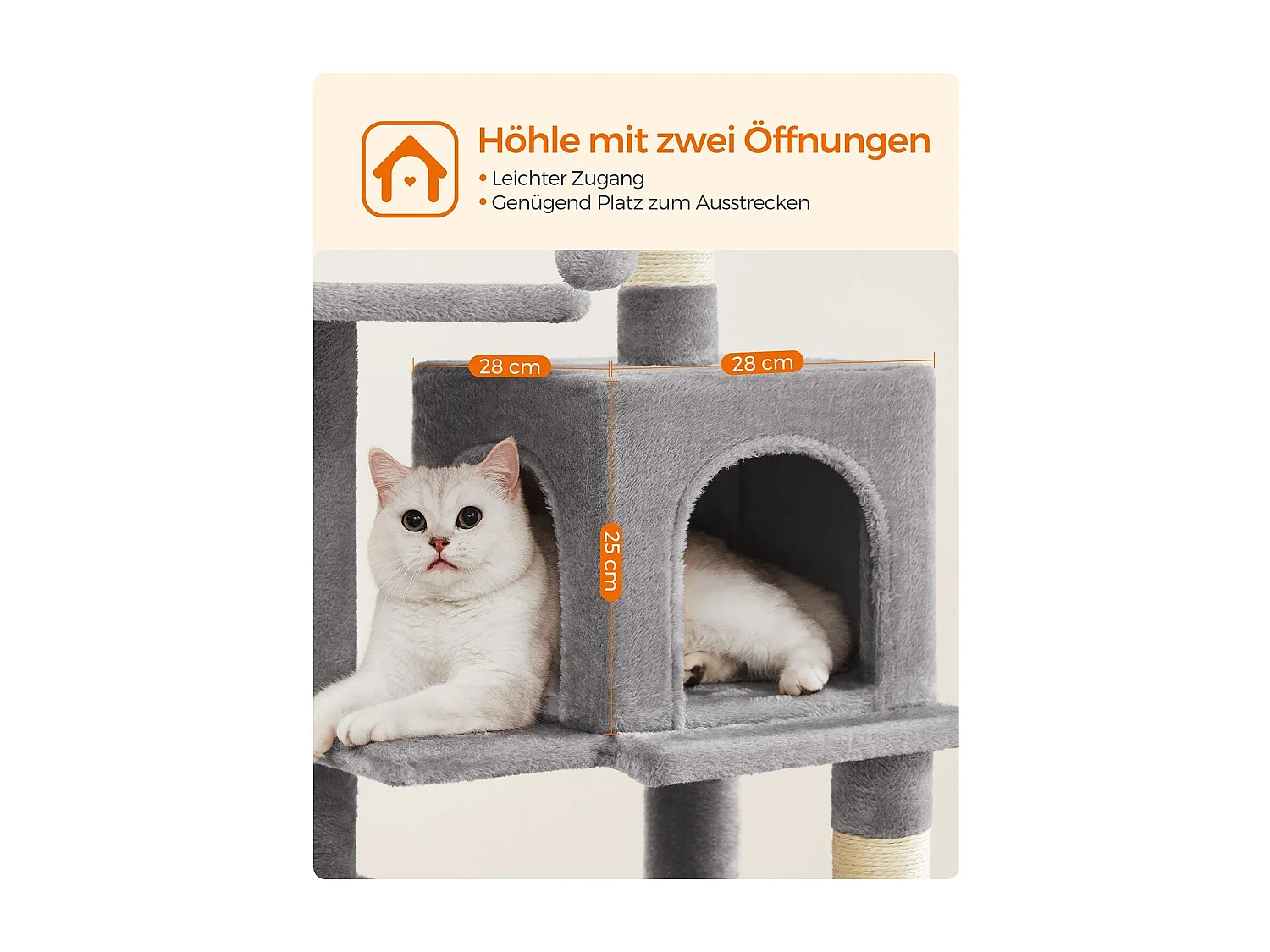 Katzenbaum Neunkirchen