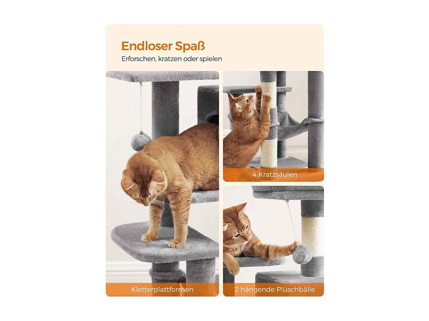 Katzenbaum Neunkirchen