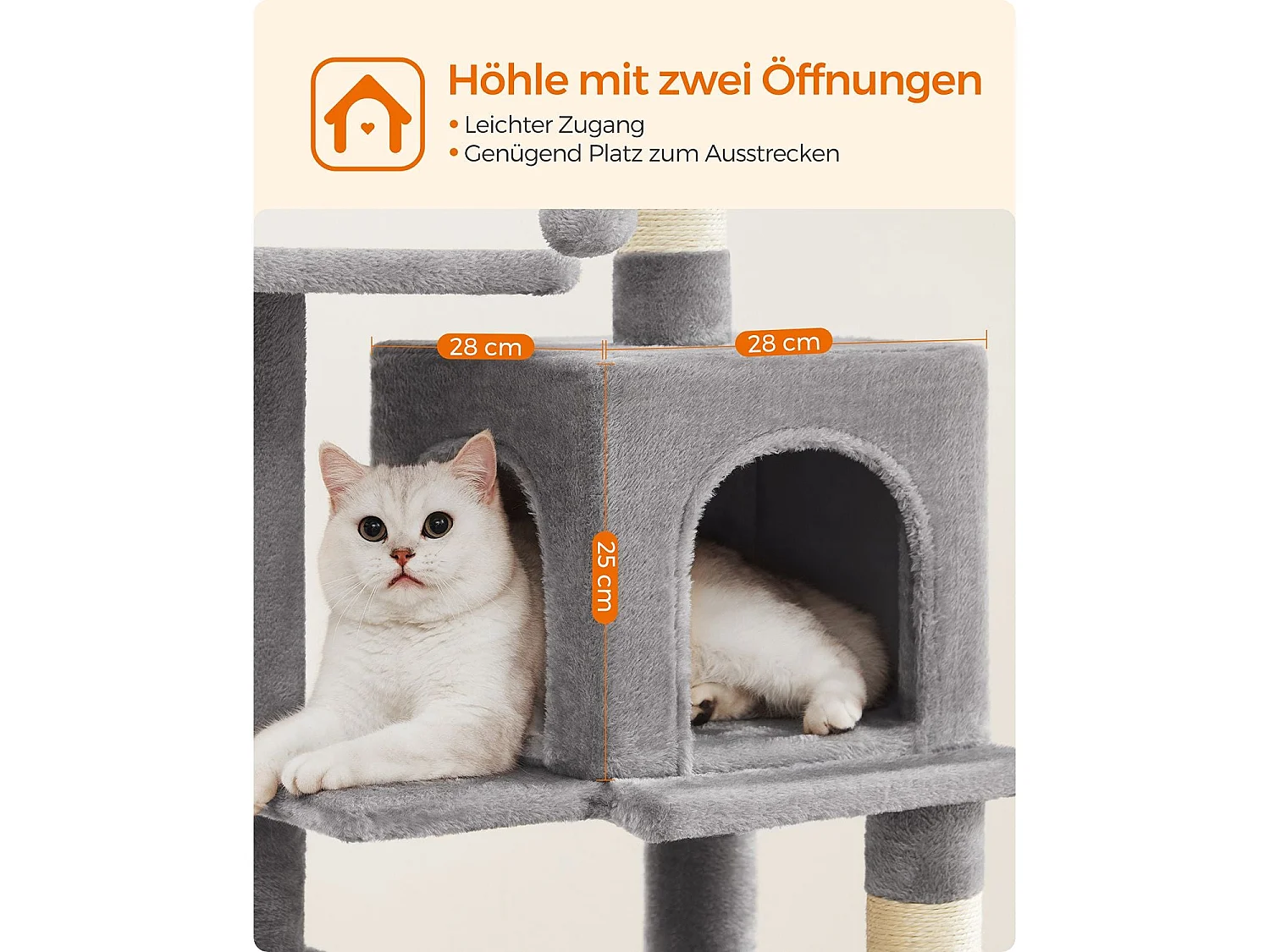 Arbre à chat Neunkirchen