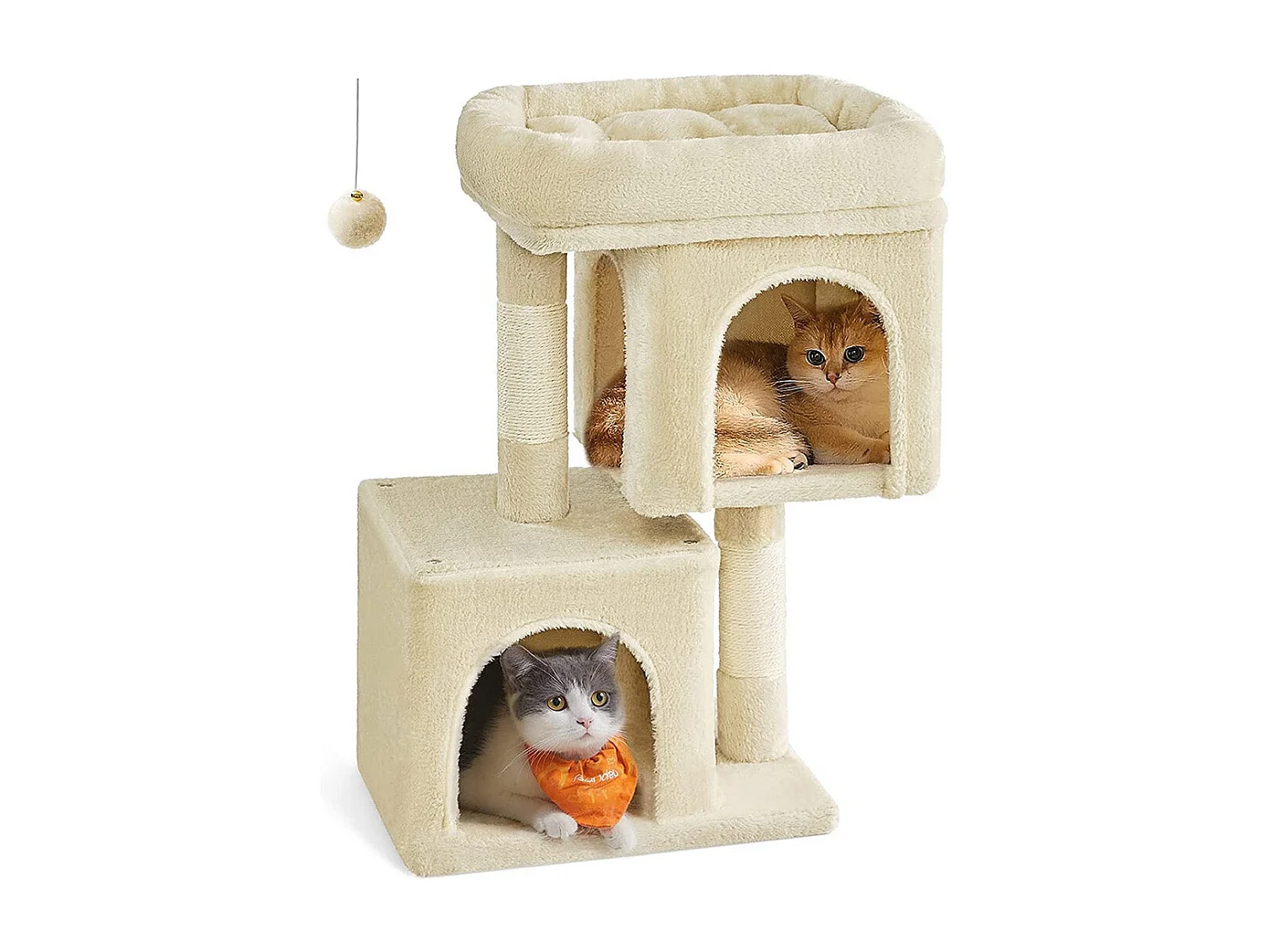 Katzenbaum Carpenedolo