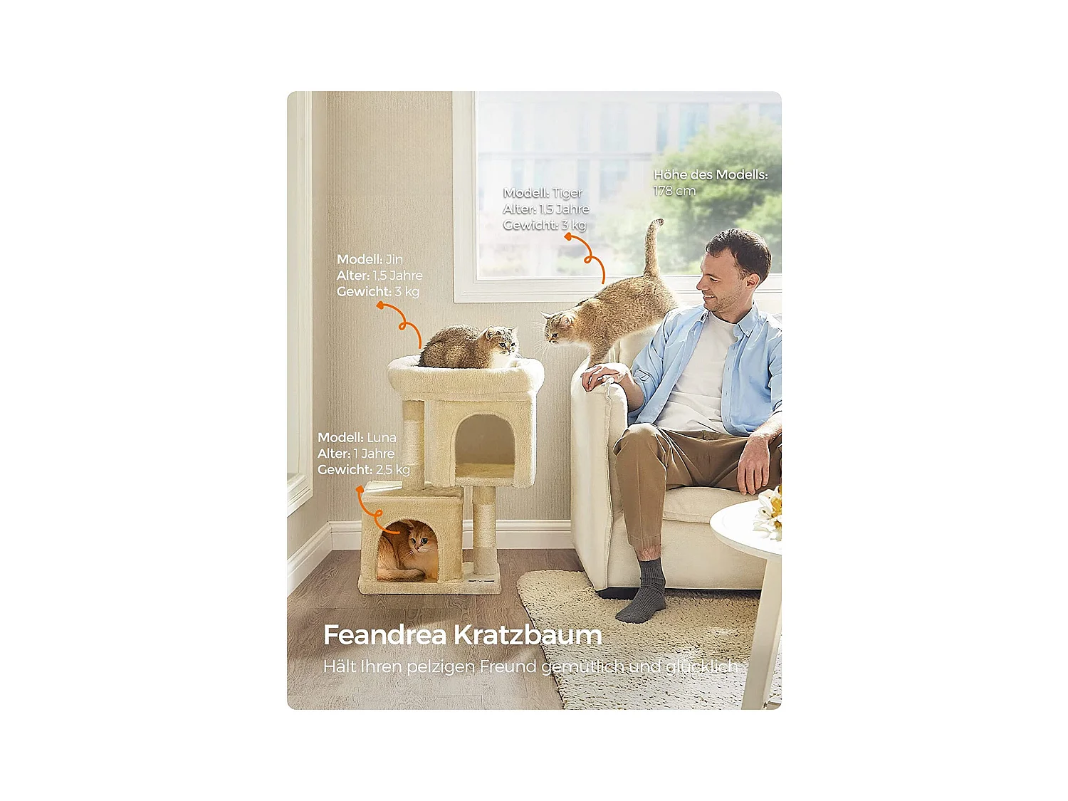 Katzenbaum Carpenedolo