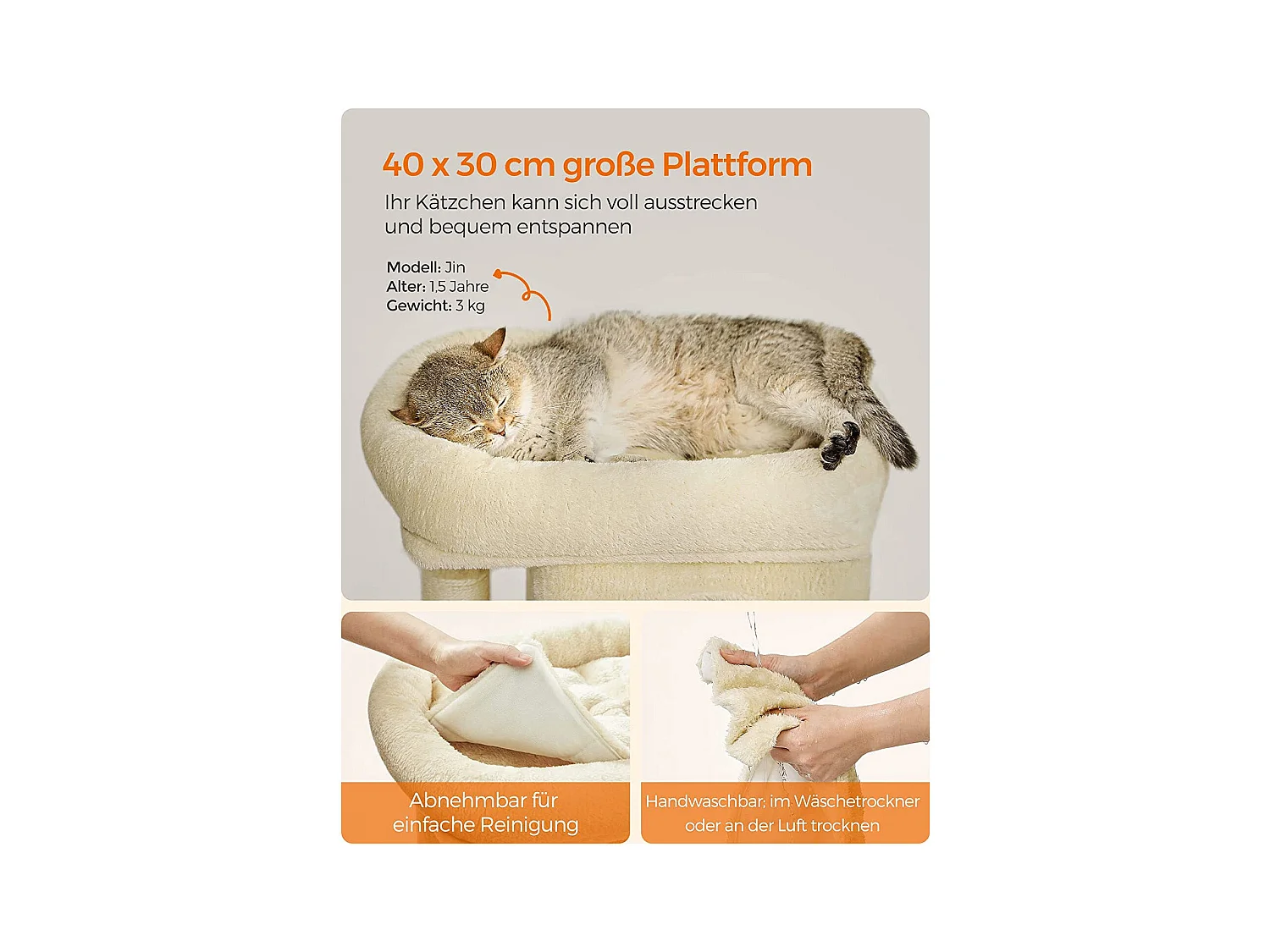 Katzenbaum Carpenedolo