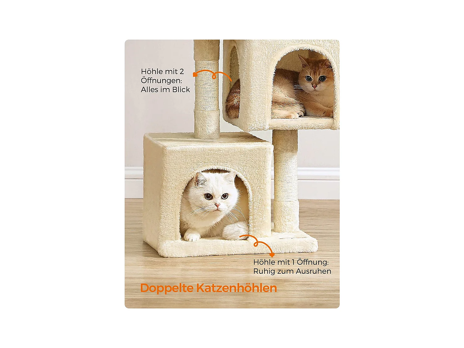 Katzenbaum Carpenedolo