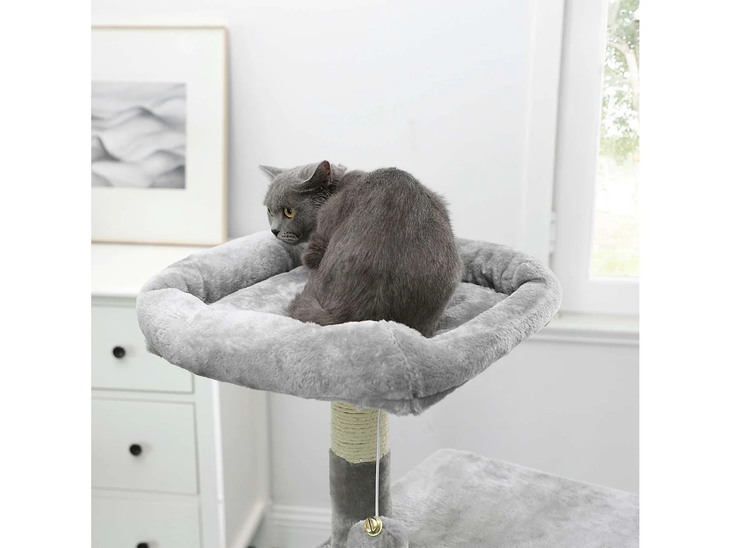 Arbre à chat avec griffoir Miauworld