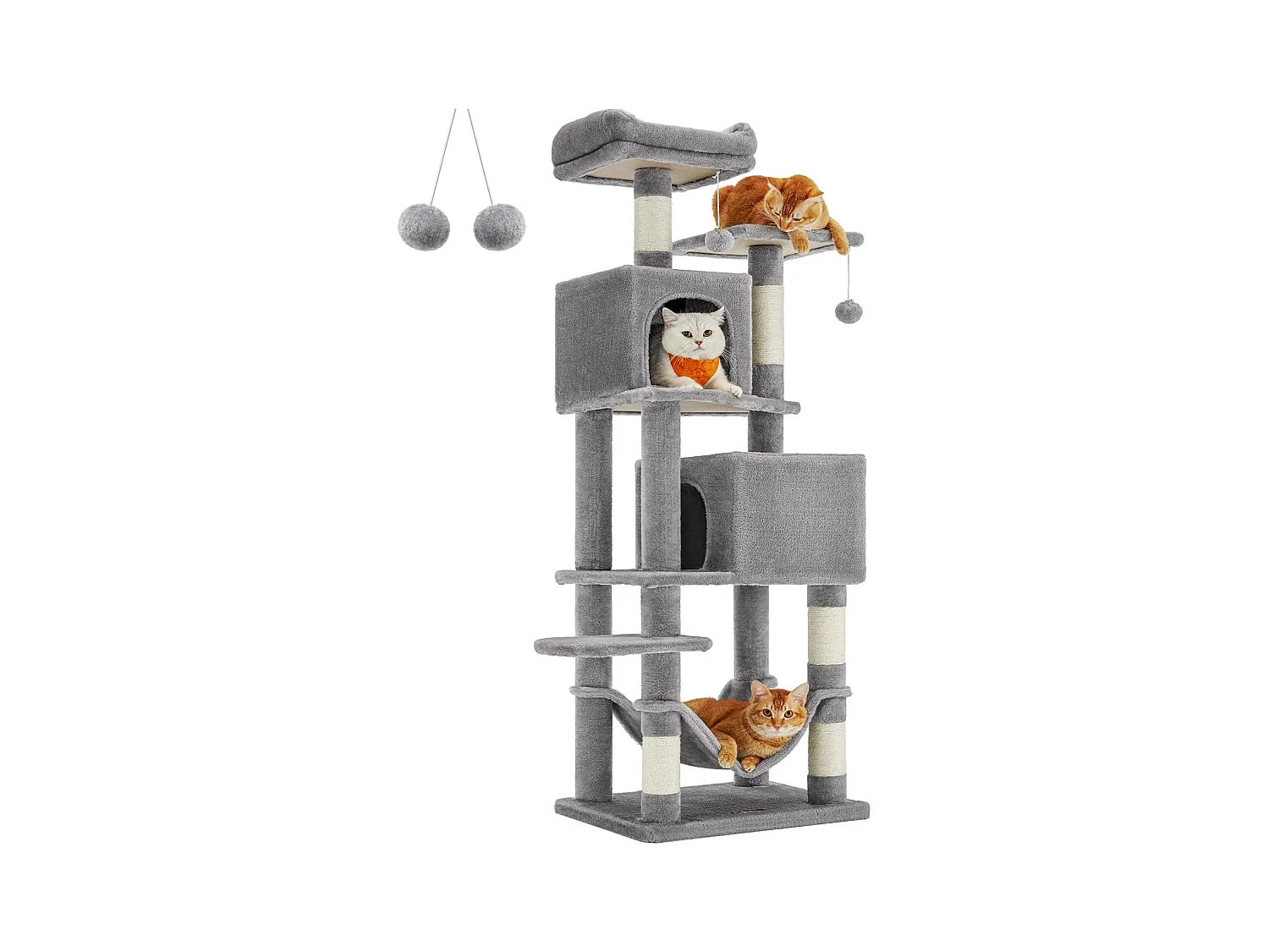 Katzenbaum Alexandreia