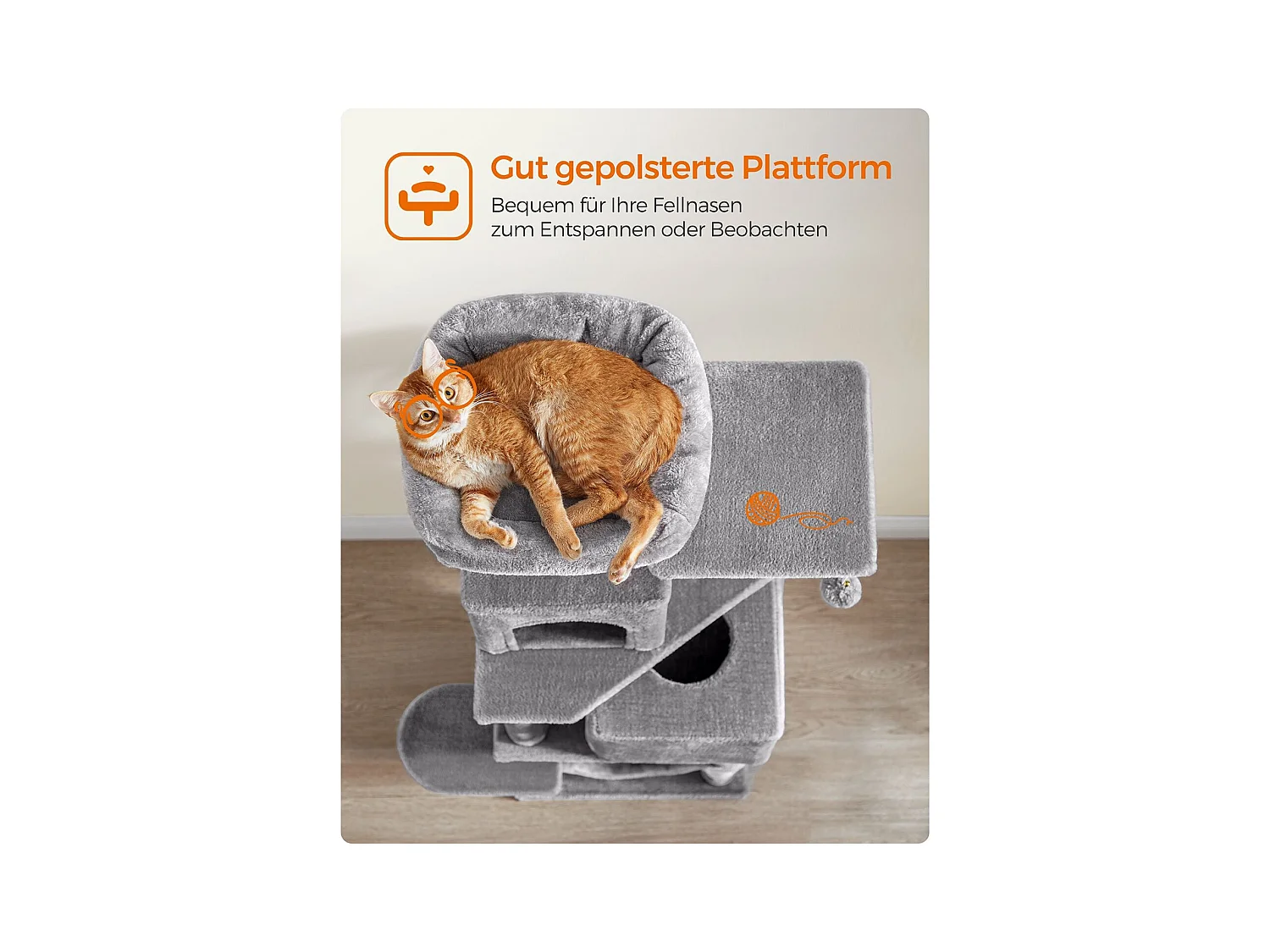 Katzenbaum Alexandreia