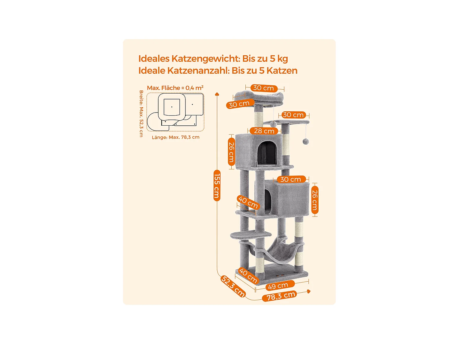 Katzenbaum Alexandreia