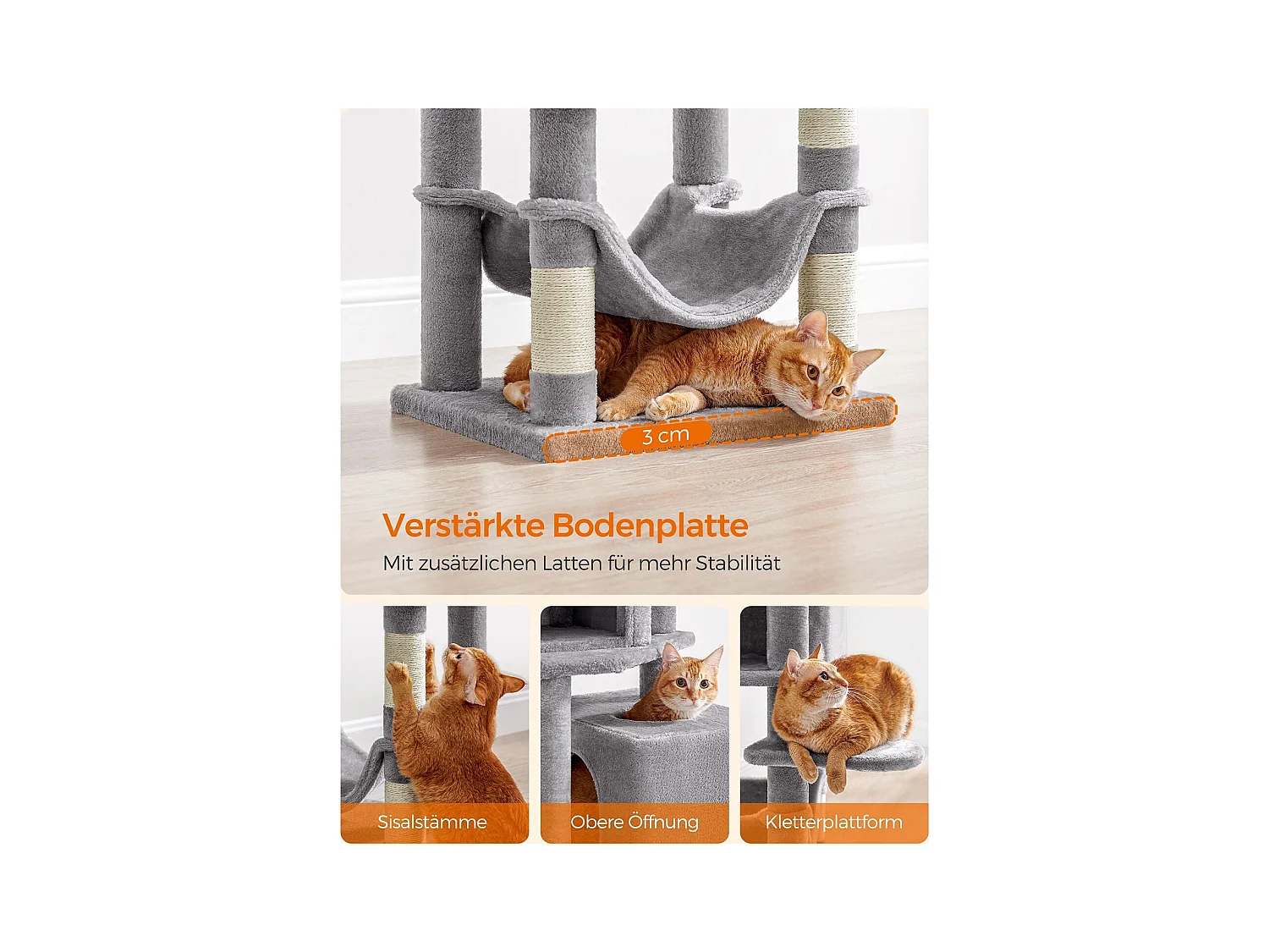 Katzenbaum Alexandreia