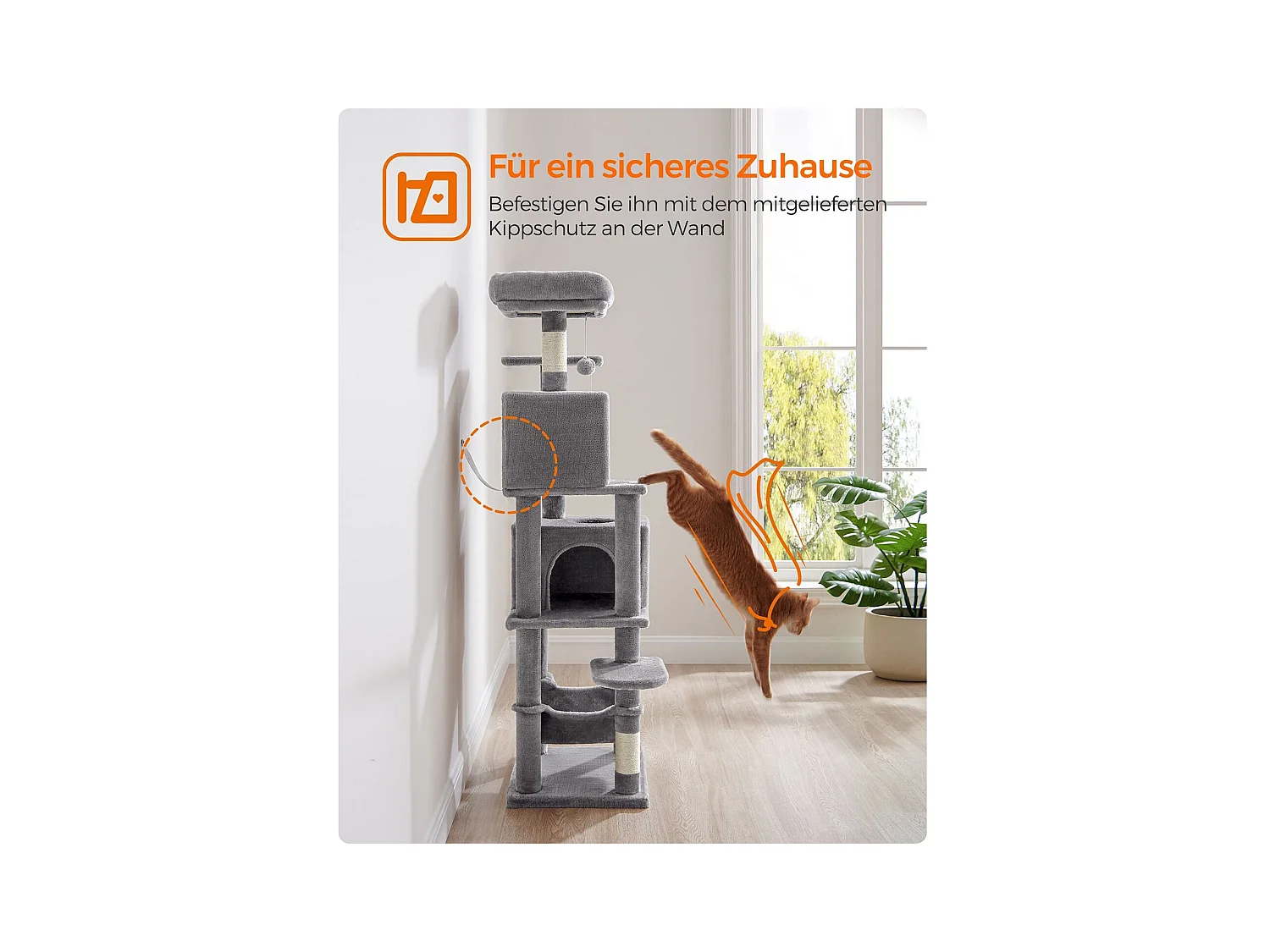 Katzenbaum Alexandreia