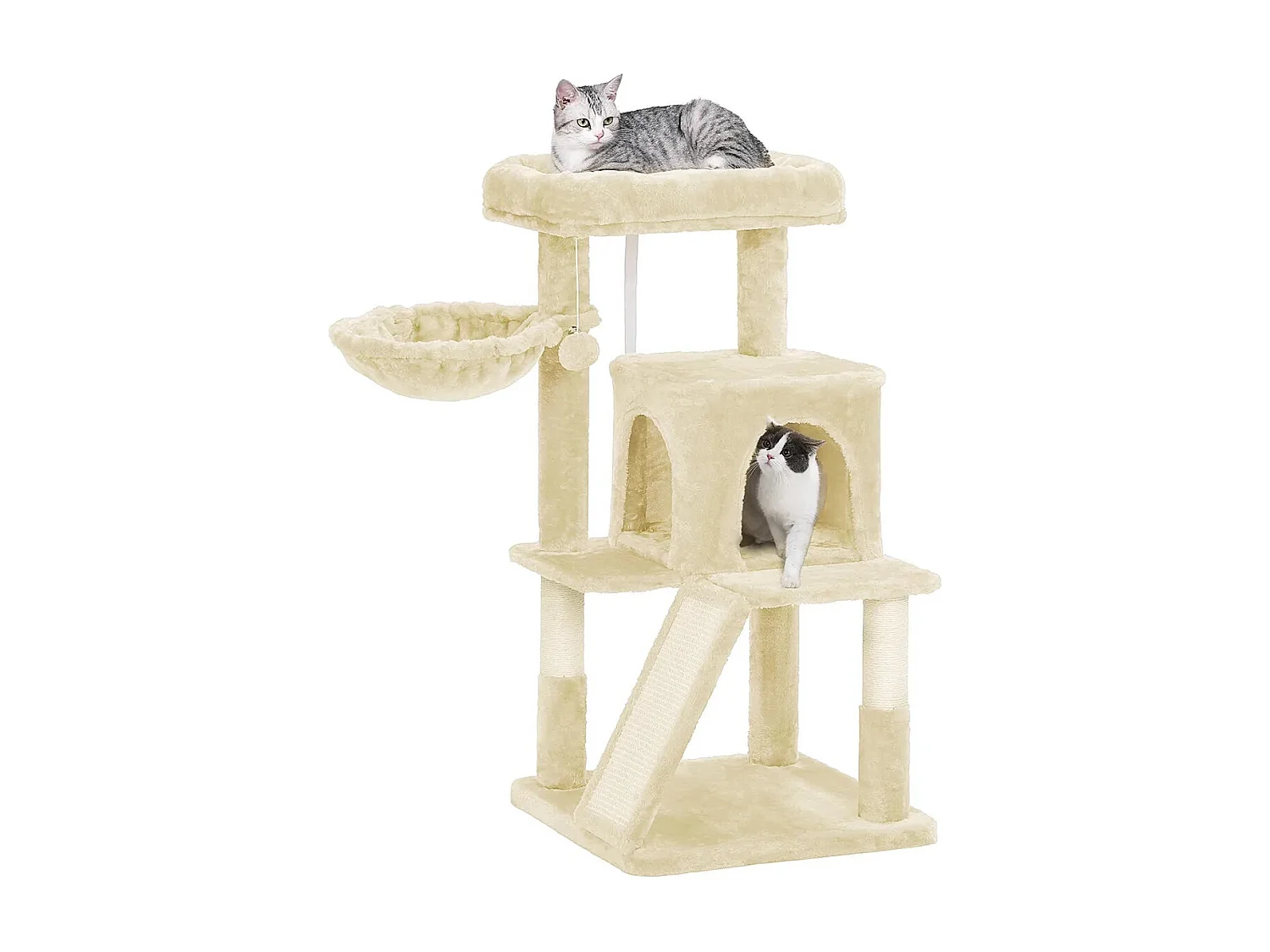 Katzenbaum Spilamberto