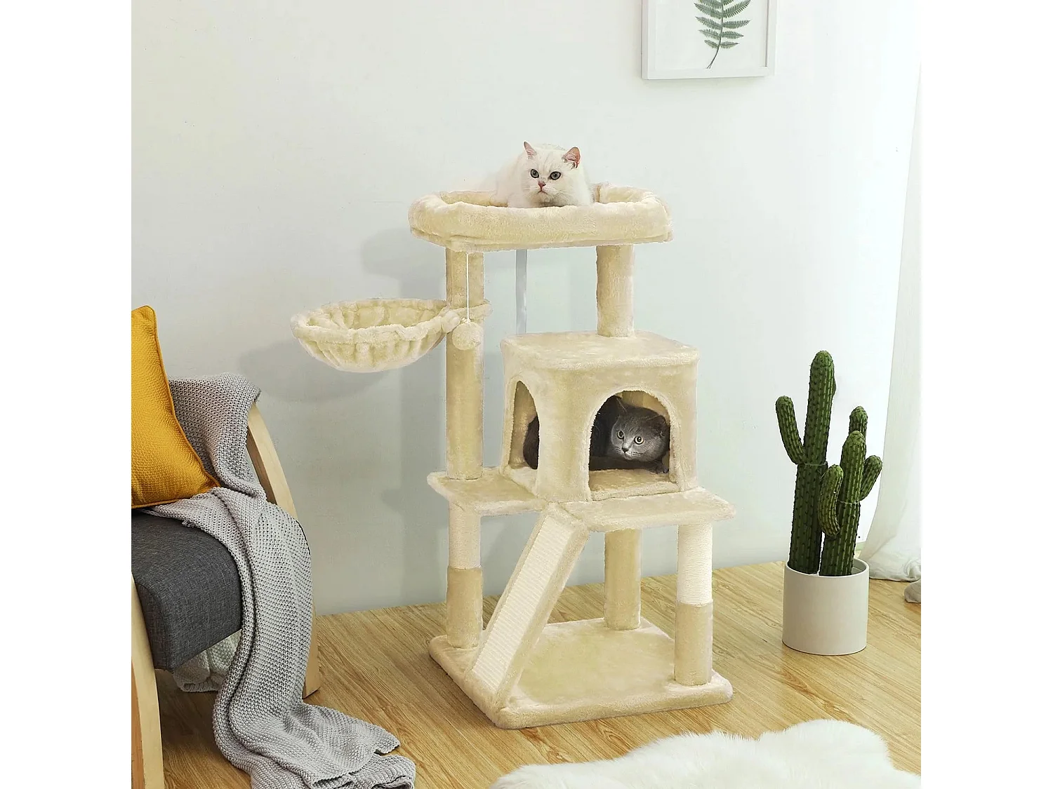 Katzenbaum Spilamberto