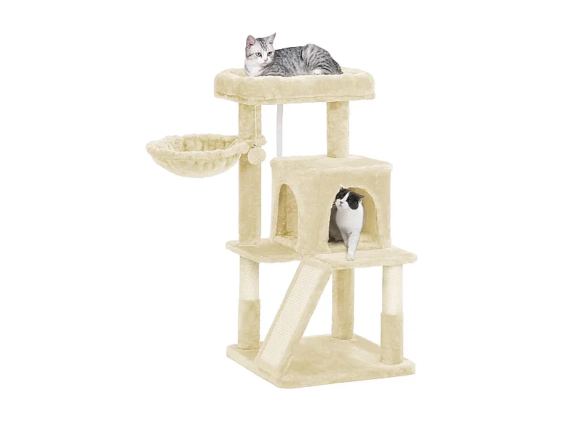 Katzenbaum Spilamberto